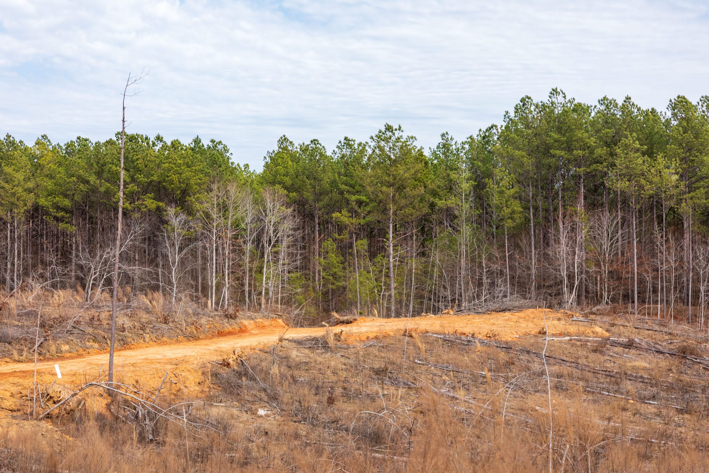 Fairview Hills Tract 11 photo 15