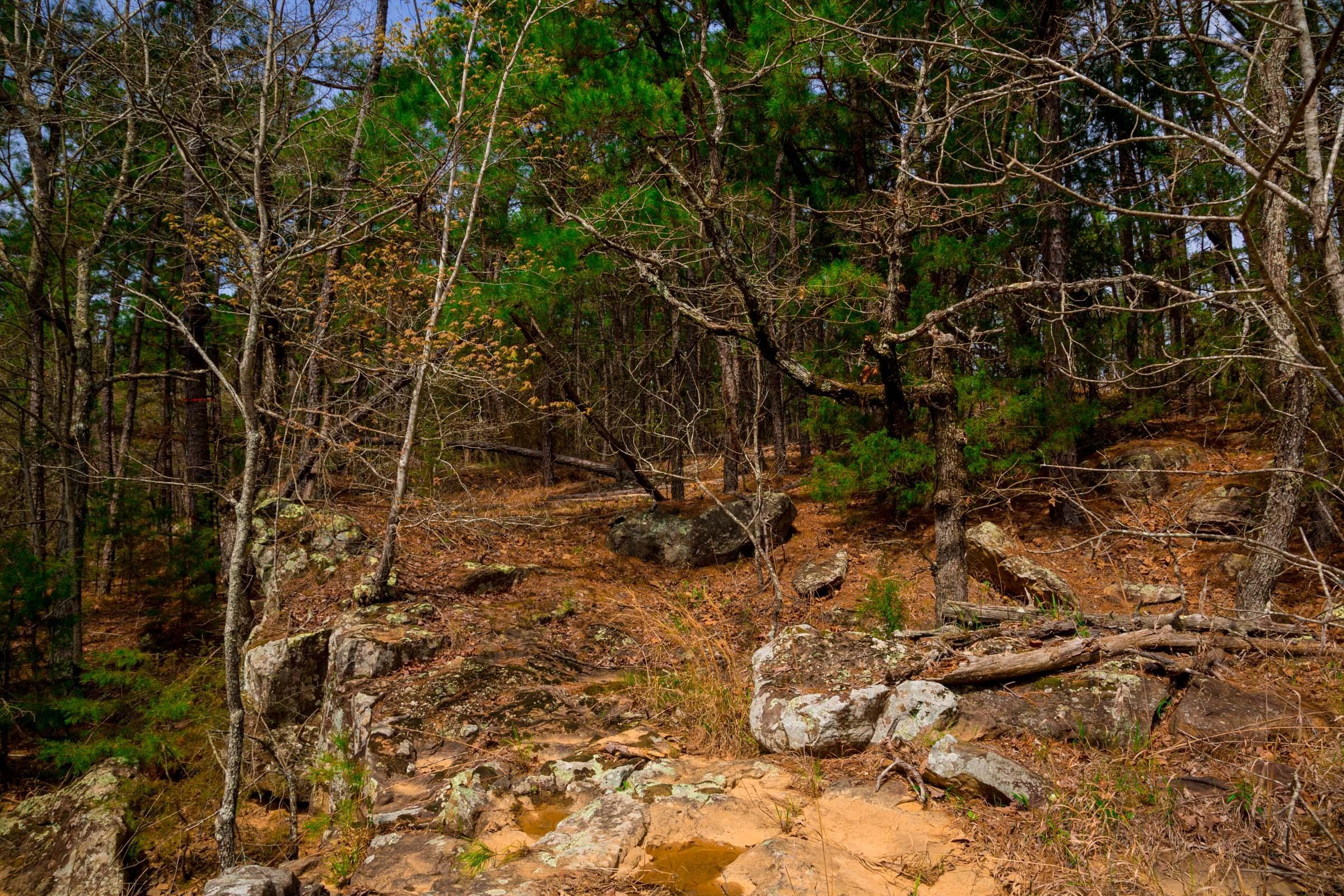 Stone Creek Phase II Tract 236 photo 4