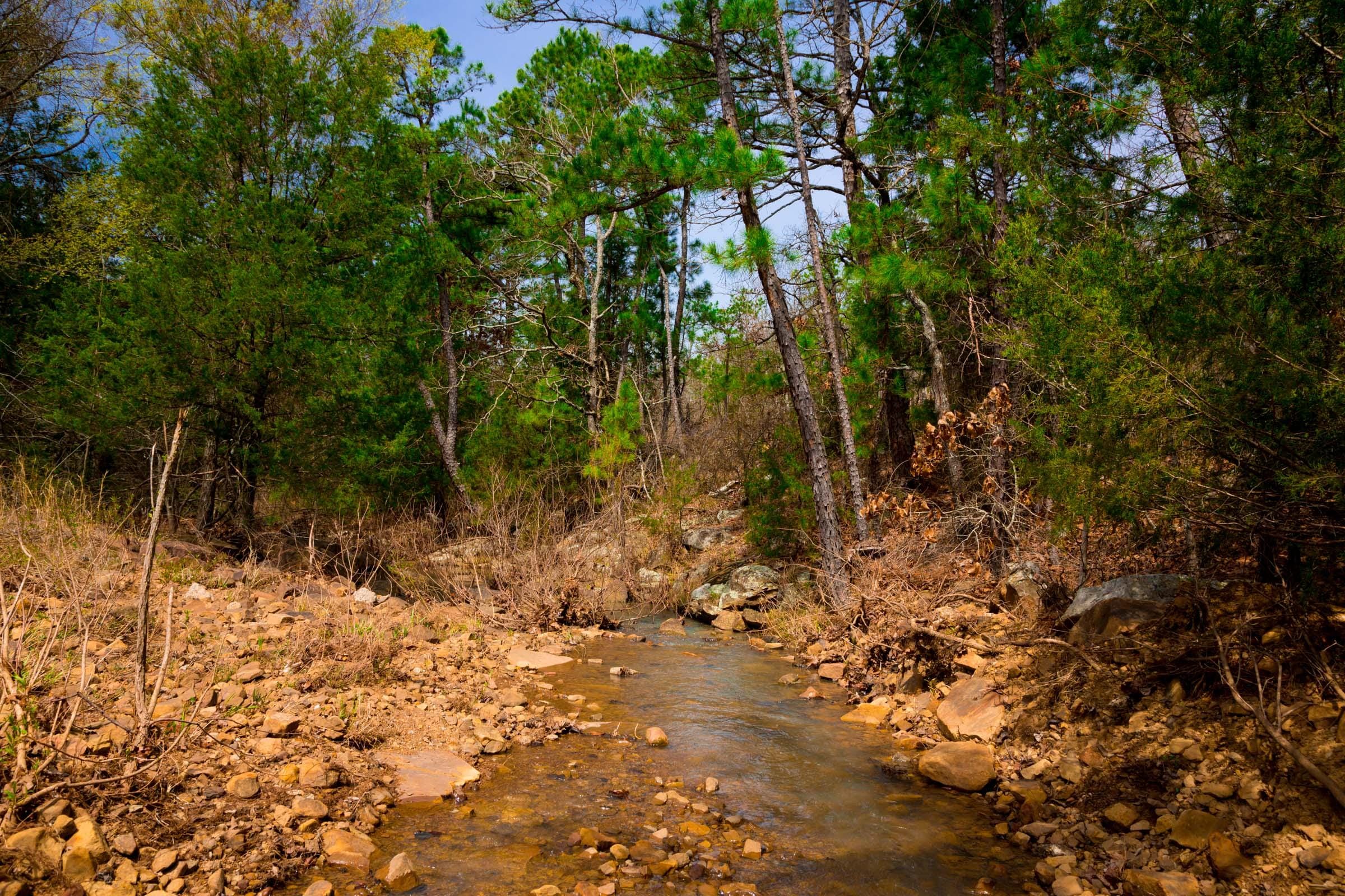 Stone Creek Phase II Tract 236 photo 6