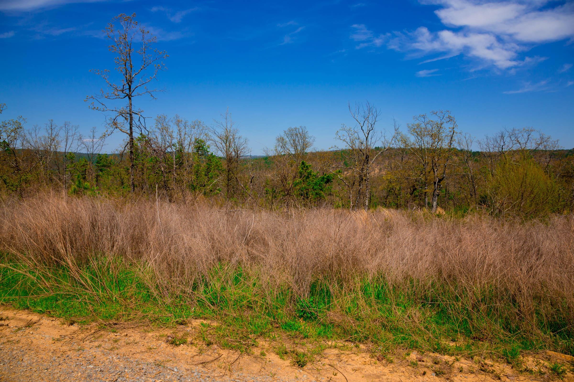 Stone Creek Phase II Tract 236 photo 8