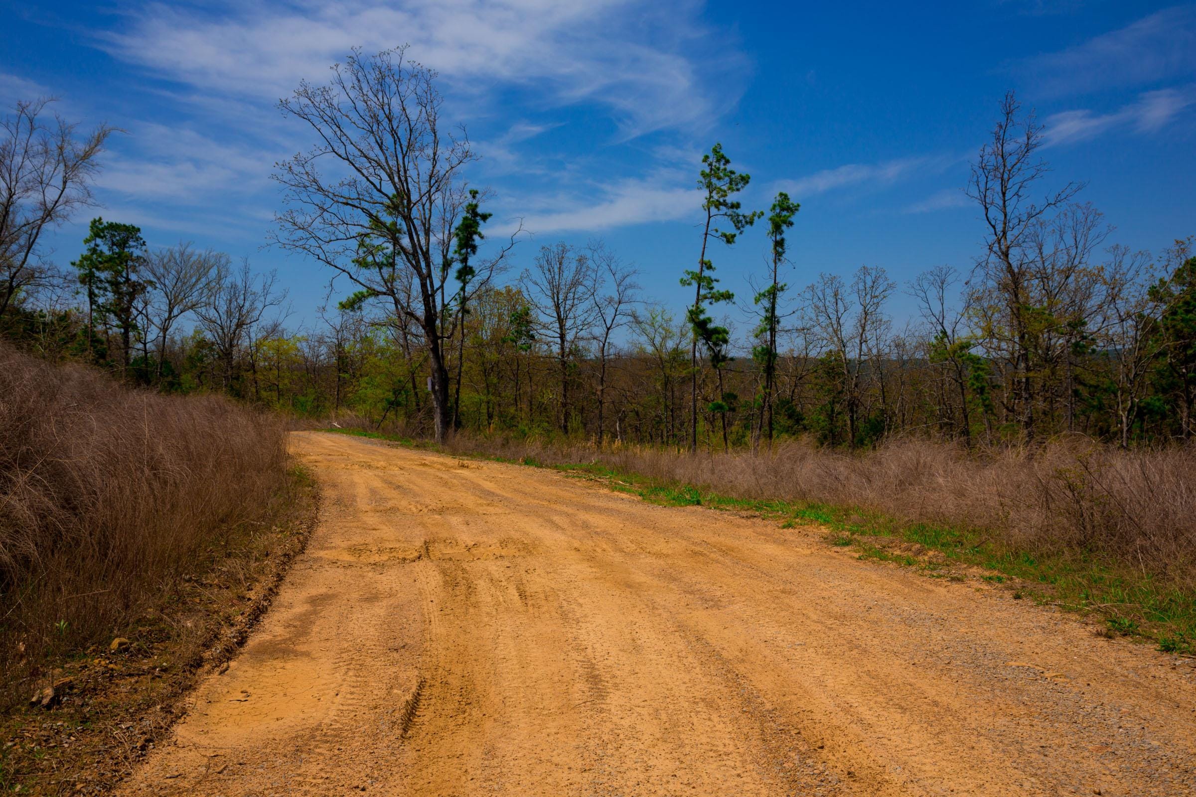 Stone Creek Phase II Tract 236 photo 2