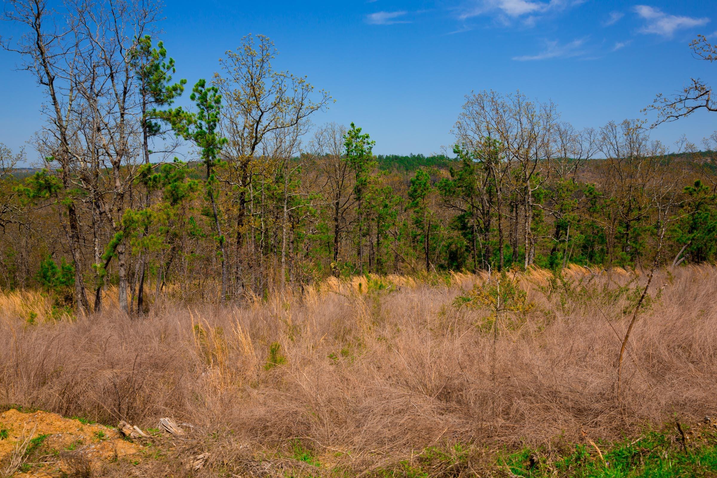 Stone Creek Phase II Tract 236 photo 9