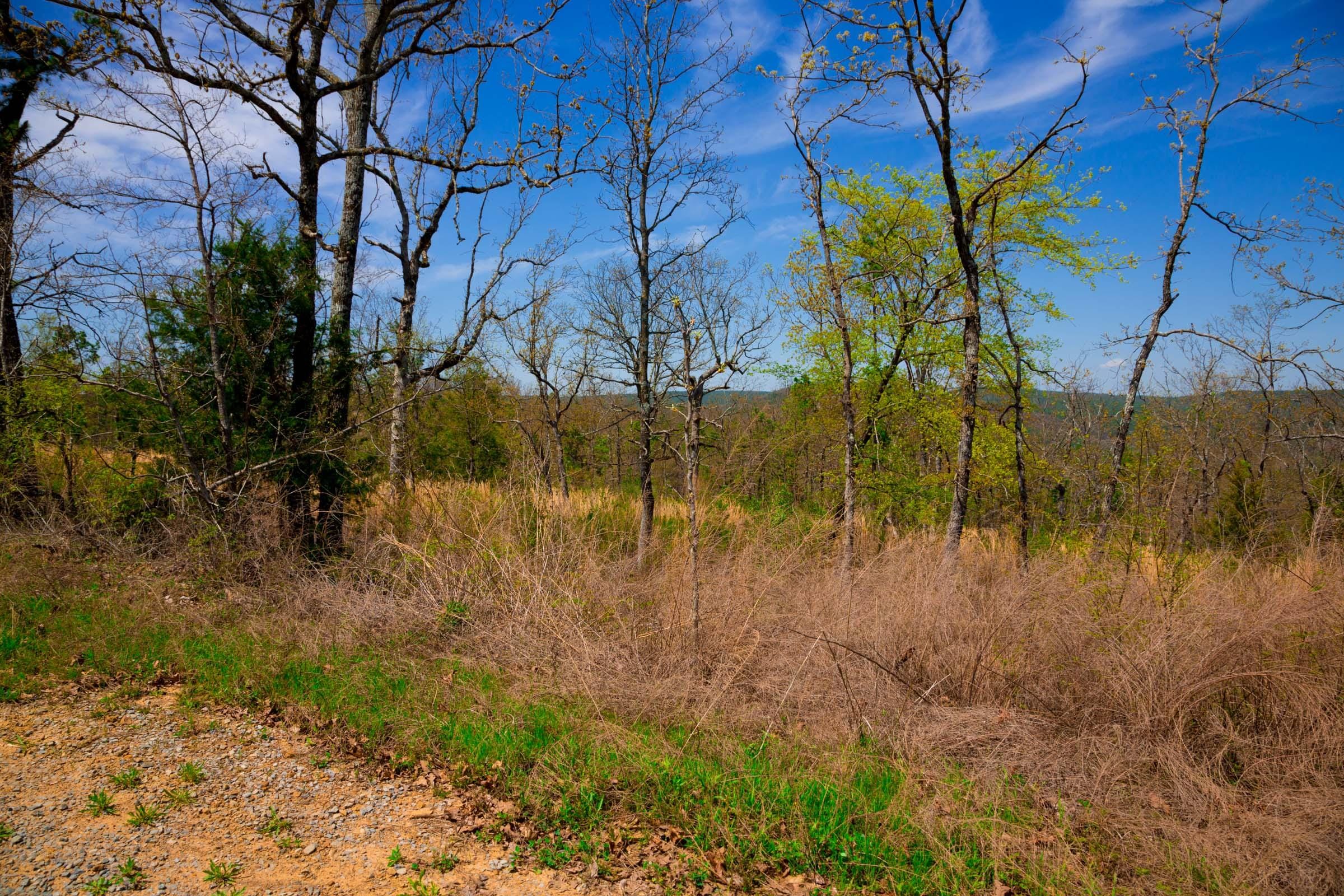 Stone Creek Phase II Tract 236 photo 10