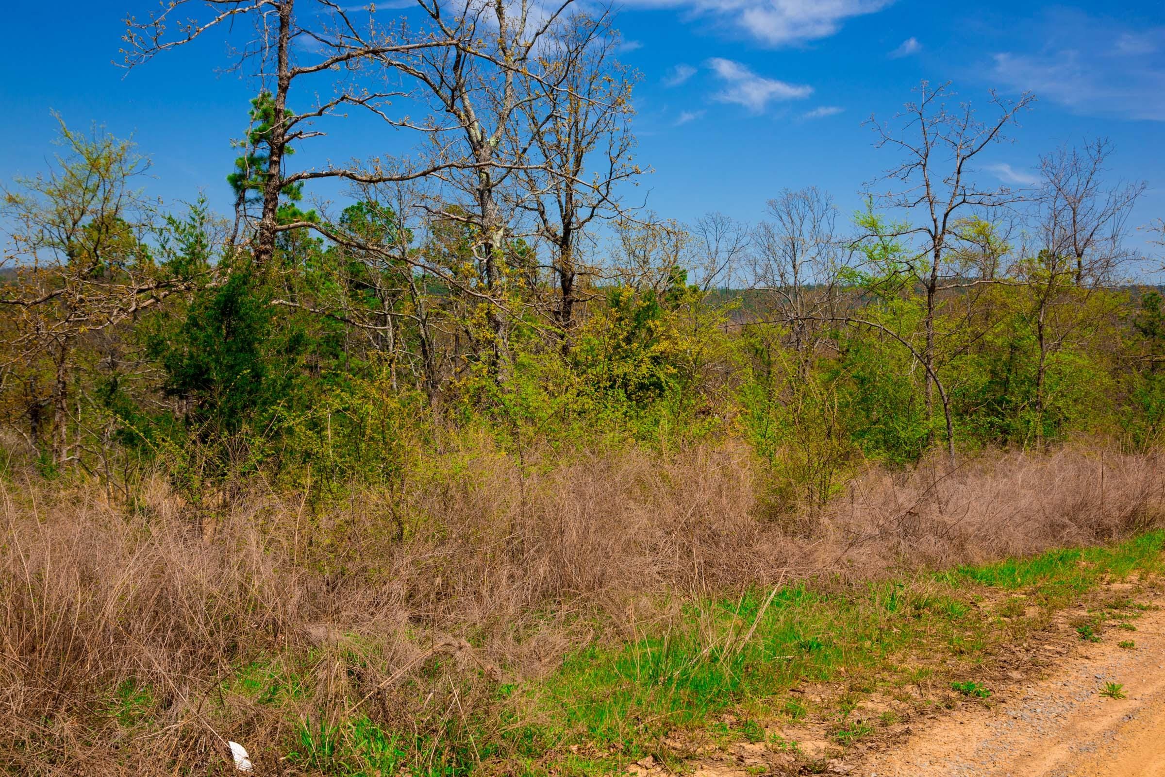 Stone Creek Phase II Tract 236 photo 11