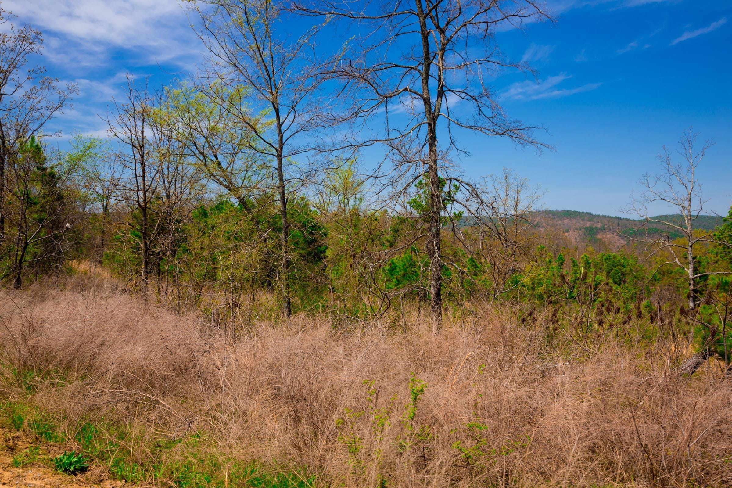 Stone Creek Phase II Tract 236 photo 13