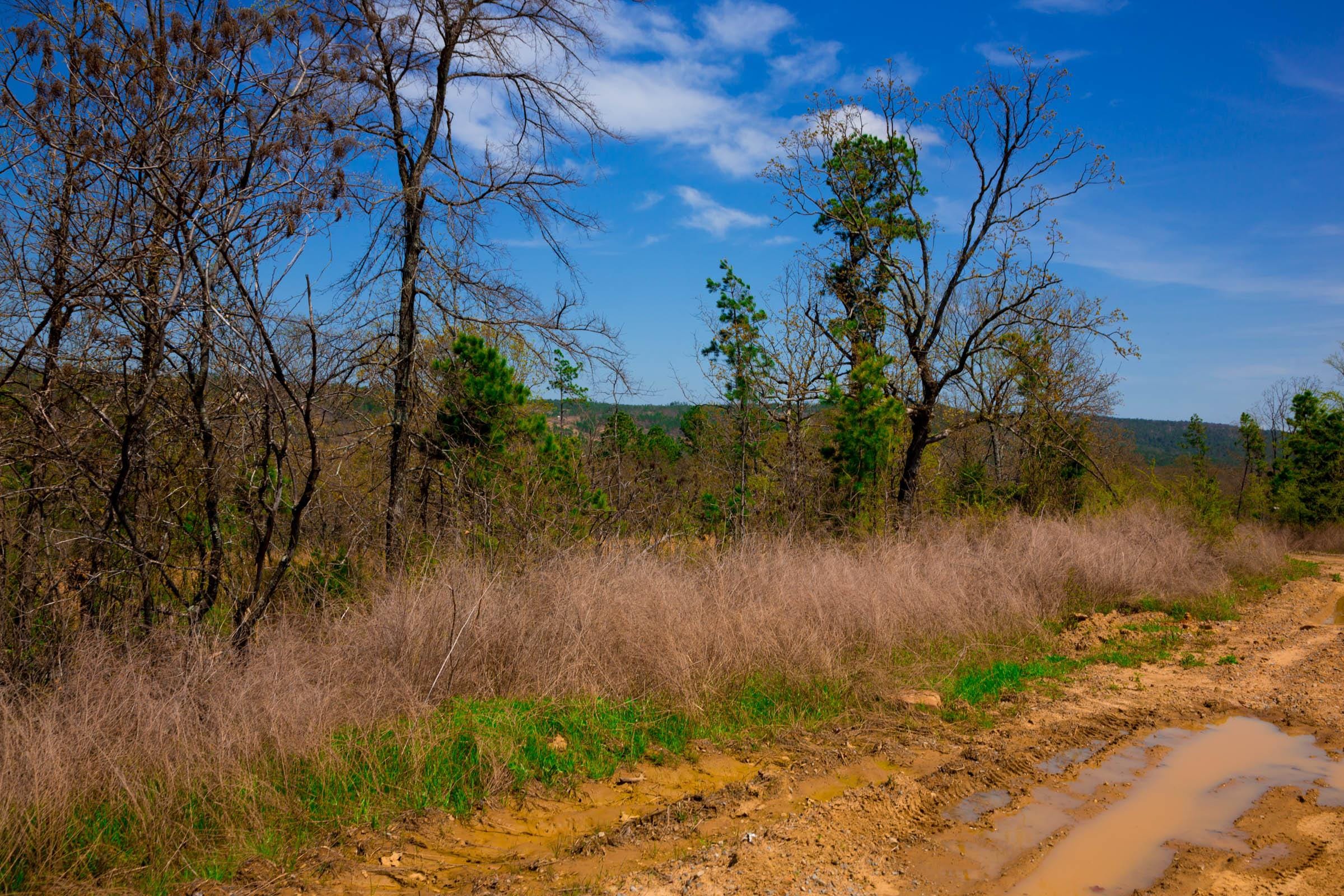 Stone Creek Phase II Tract 236 photo 14