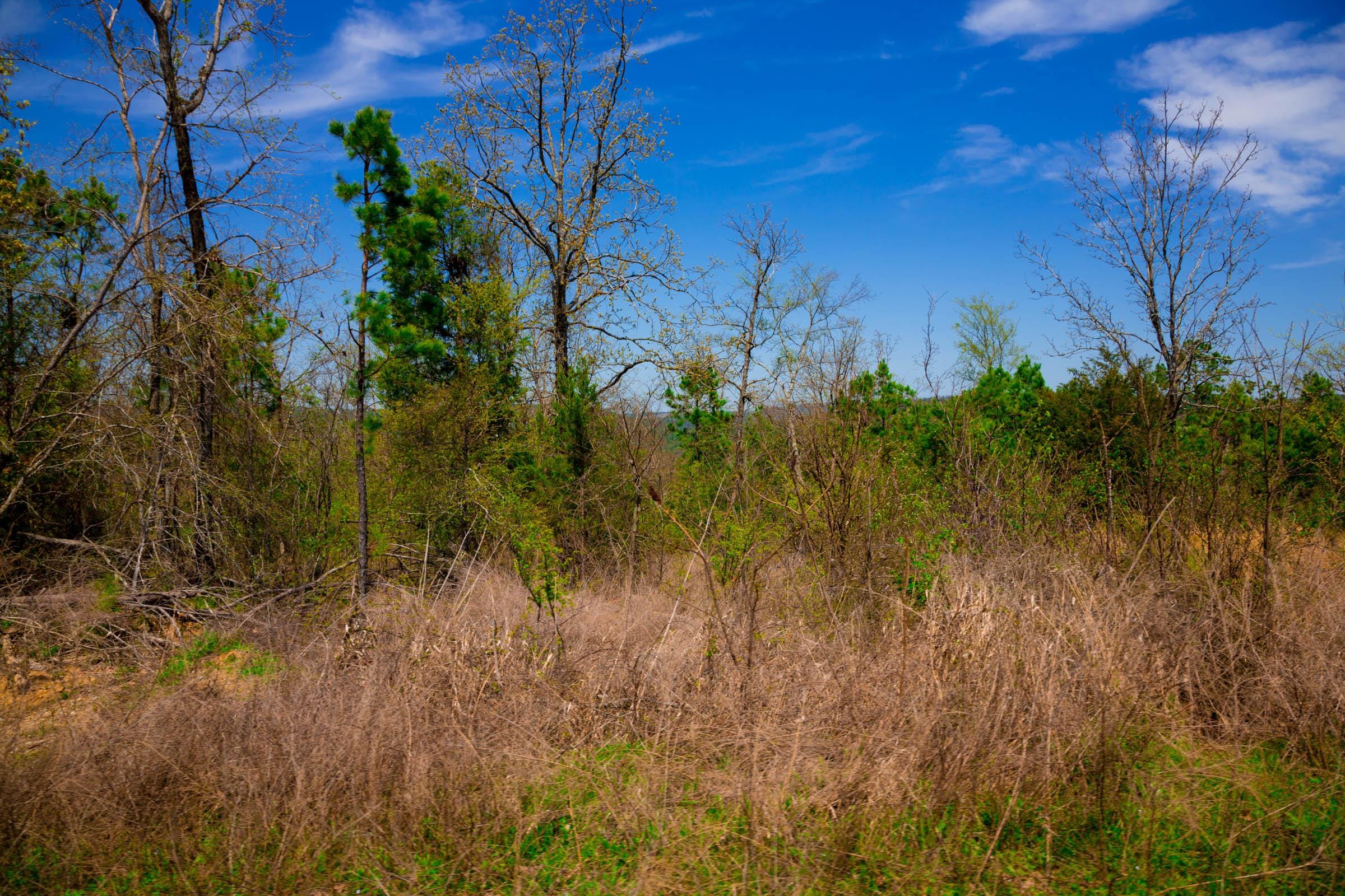 Stone Creek Phase II Tract 236 photo 15