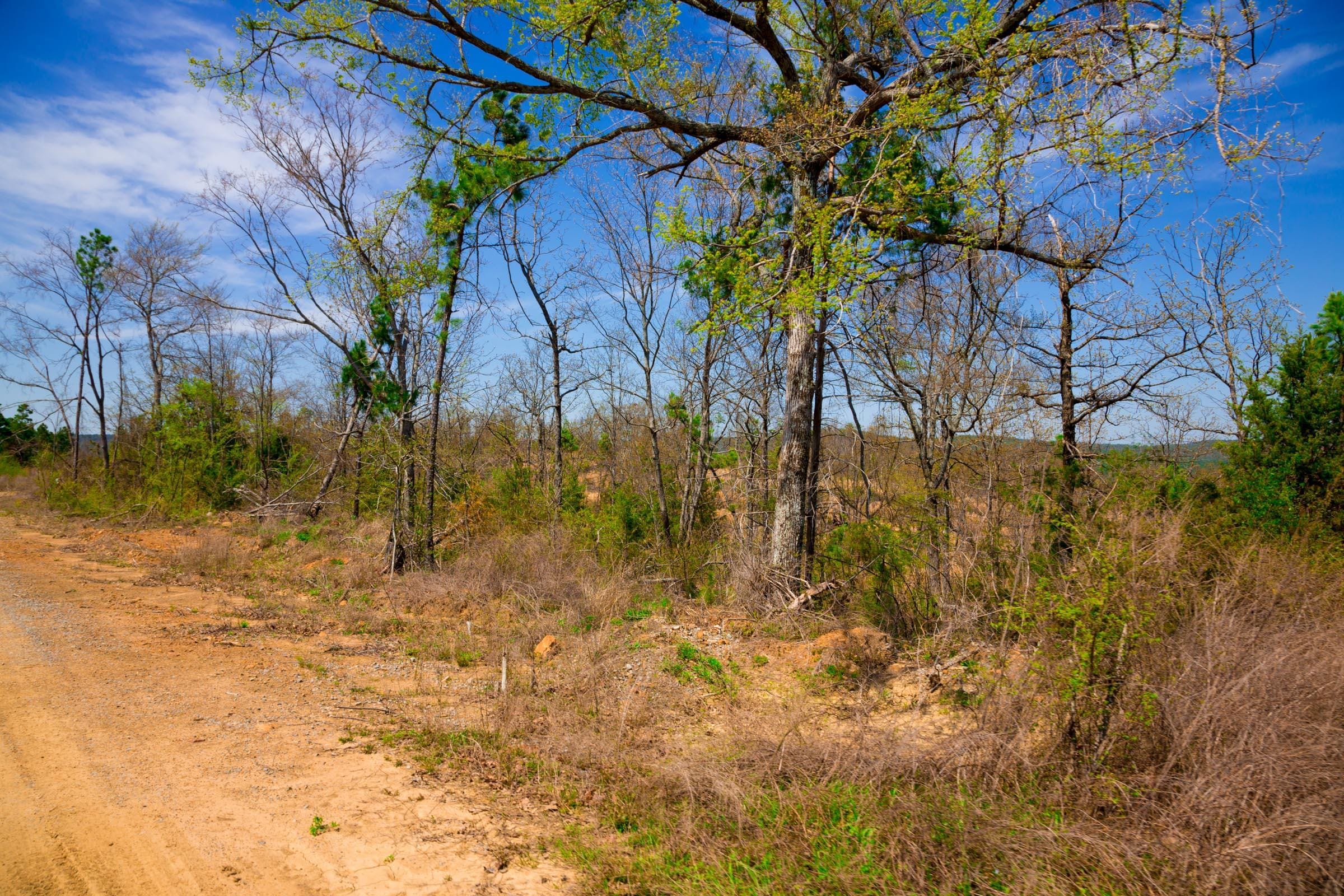 Stone Creek Phase II Tract 236 photo 16