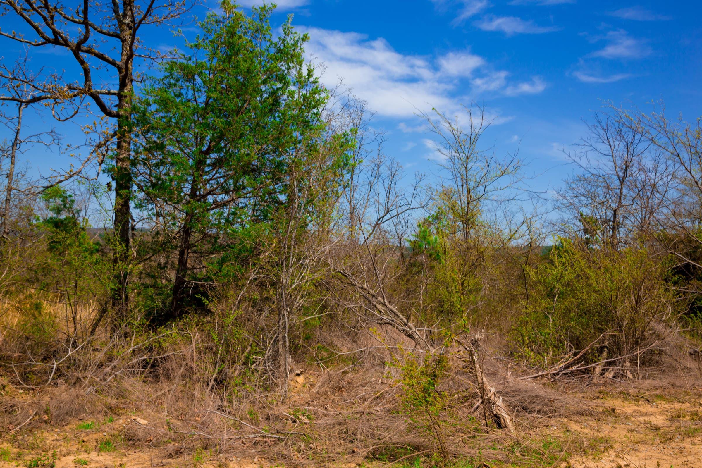 Stone Creek Phase II Tract 236 photo 17