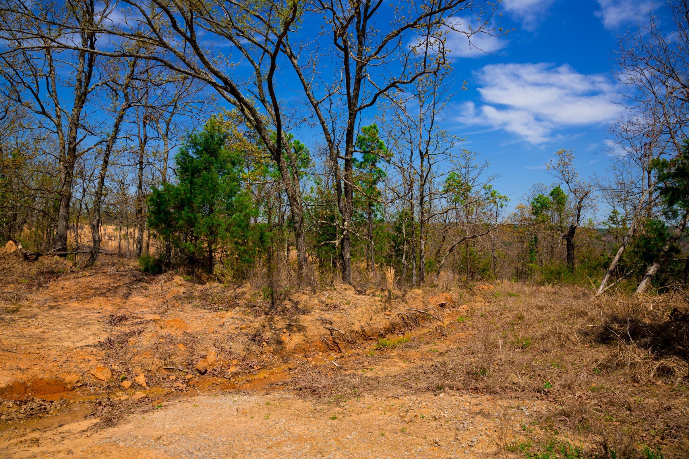 Stone Creek Phase II Tract 236 photo 18