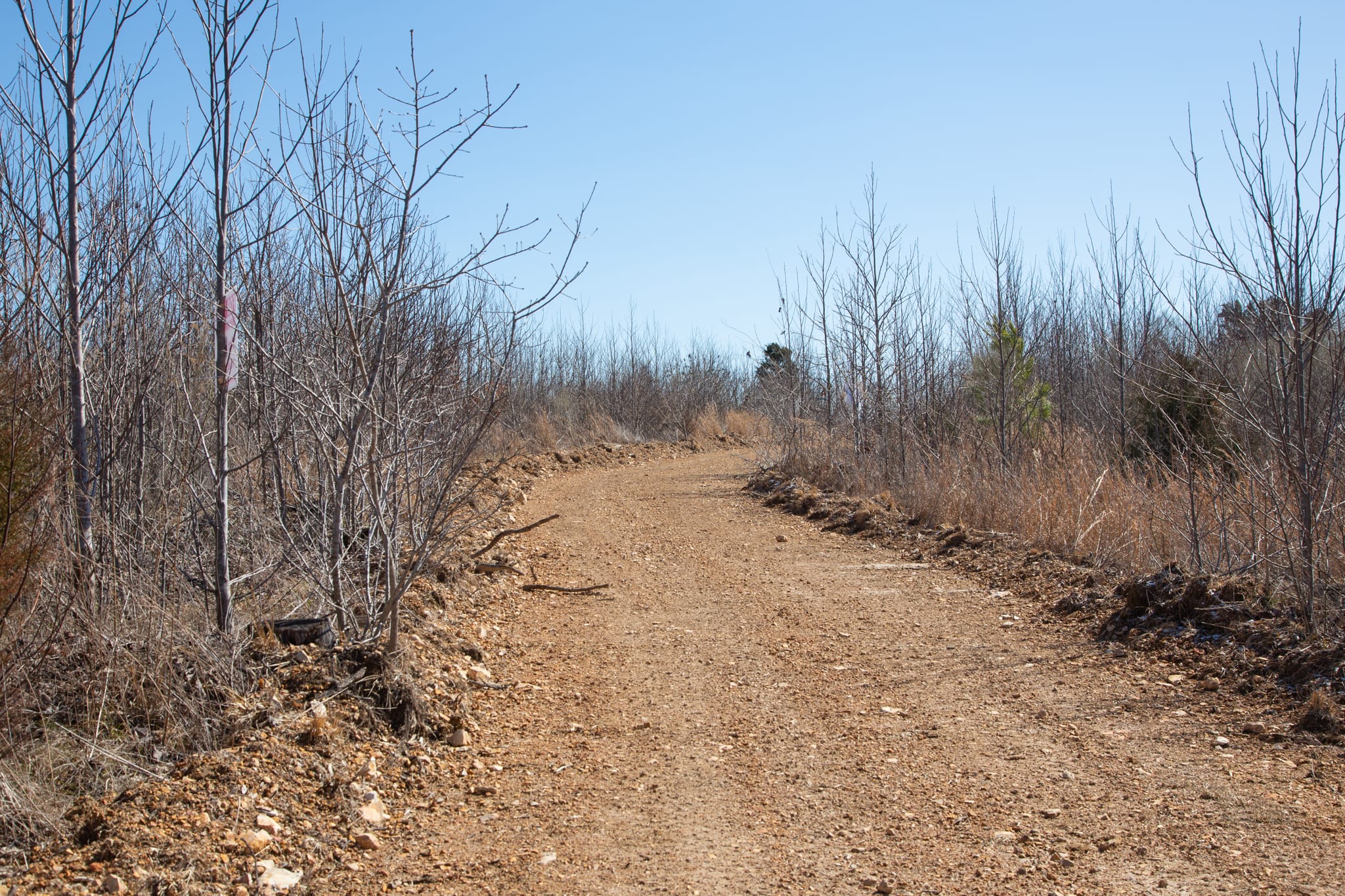 Southwind Ranch Tract 11 photo 2