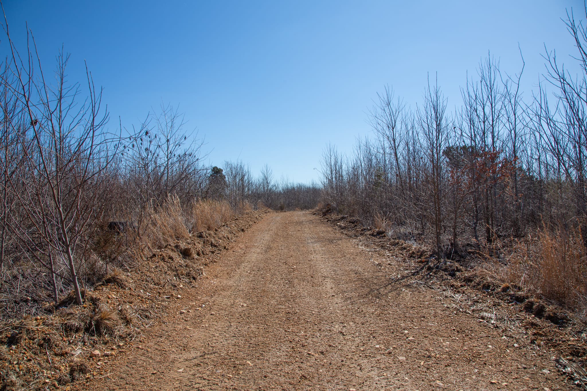 Southwind Ranch Tract 11 photo 9