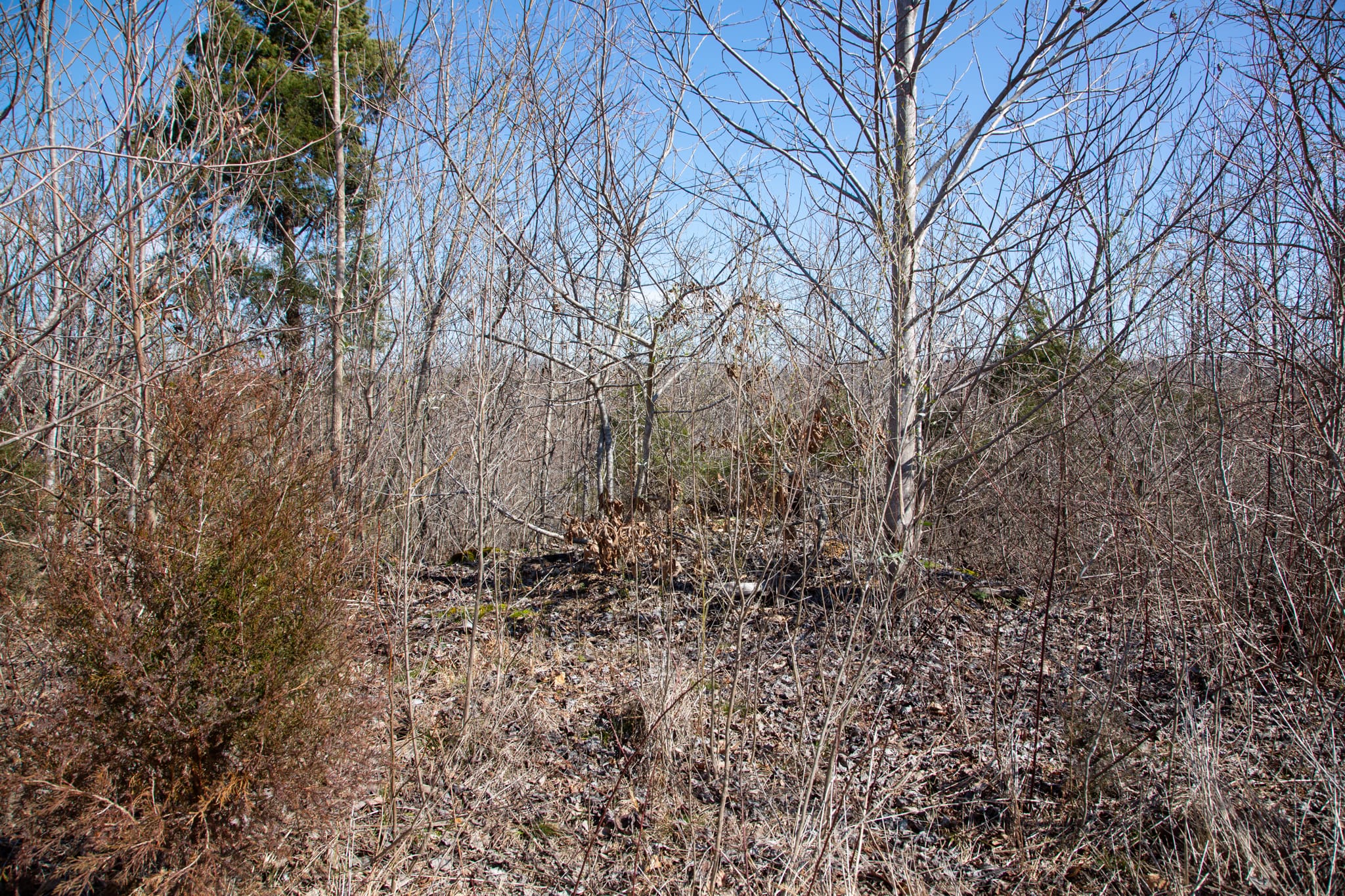 Southwind Ranch Tract 11 photo 12