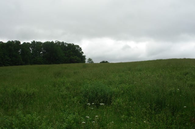 Whispering Oaks Tract 17 photo 1