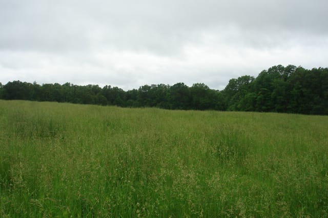 Whispering Oaks Tract 17 photo 2