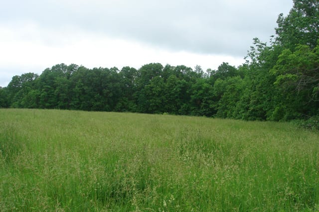 Whispering Oaks Tract 17 photo 3