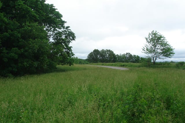 Whispering Oaks Tract 17 photo 4