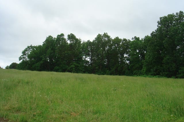 Whispering Oaks Tract 17 photo 5