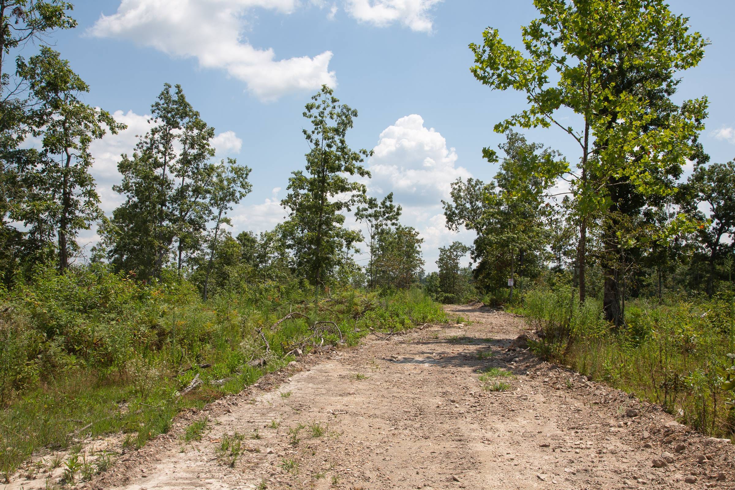 Borgmann’s Hollow Phase I Tract 13 photo 7
