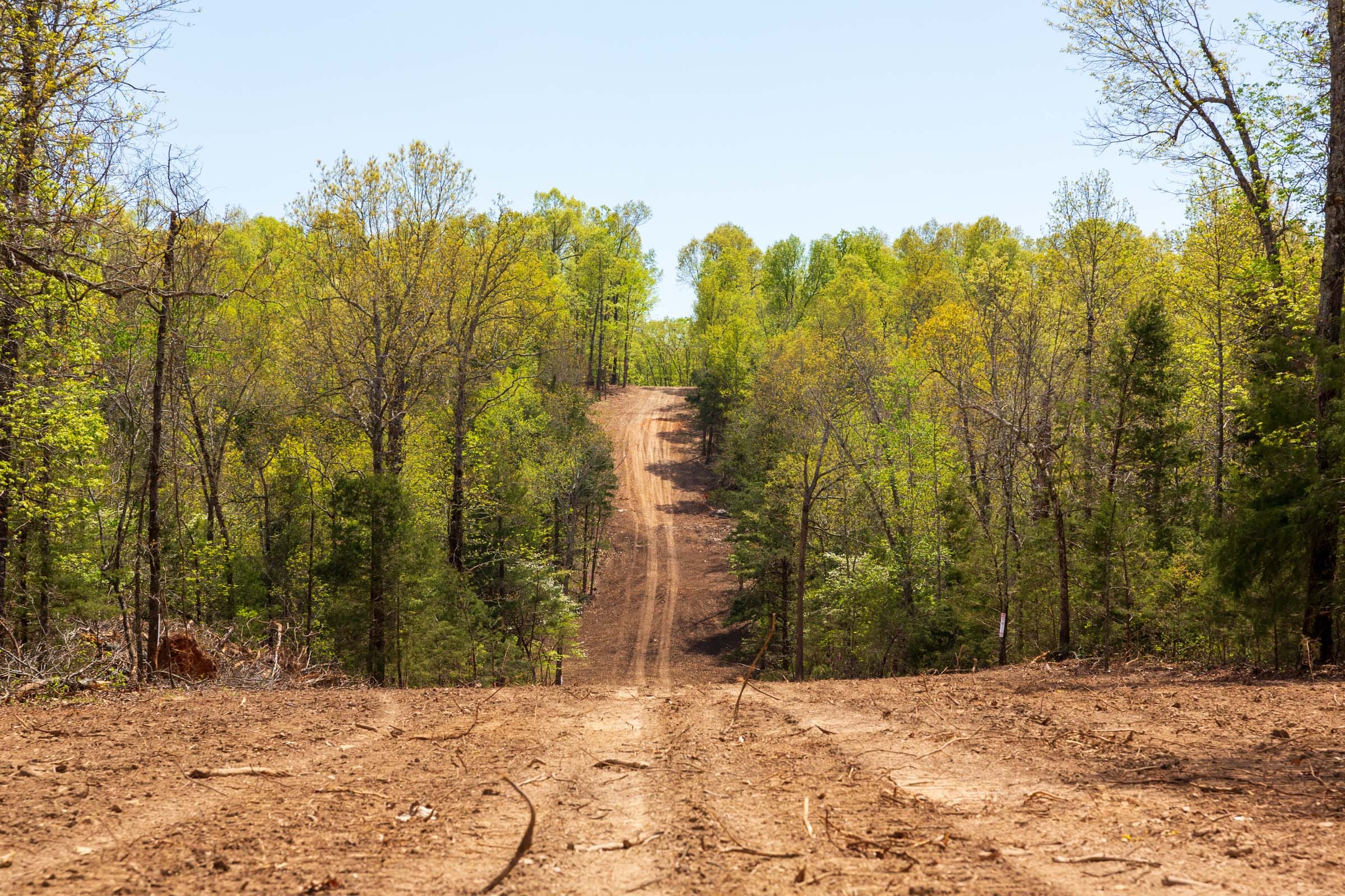 Autumnwood Tract 14 photo 1