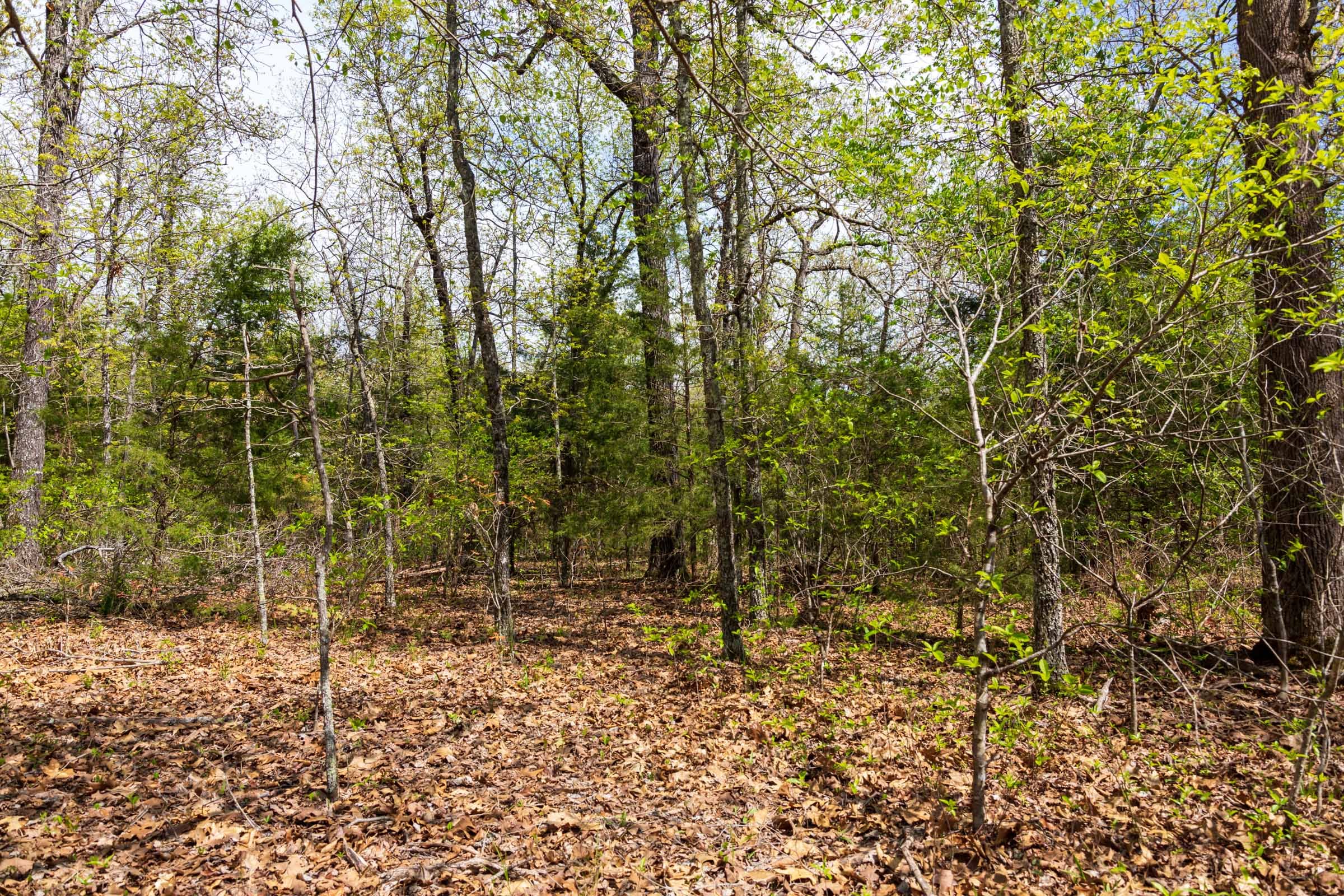 Autumnwood Tract 14 photo 5