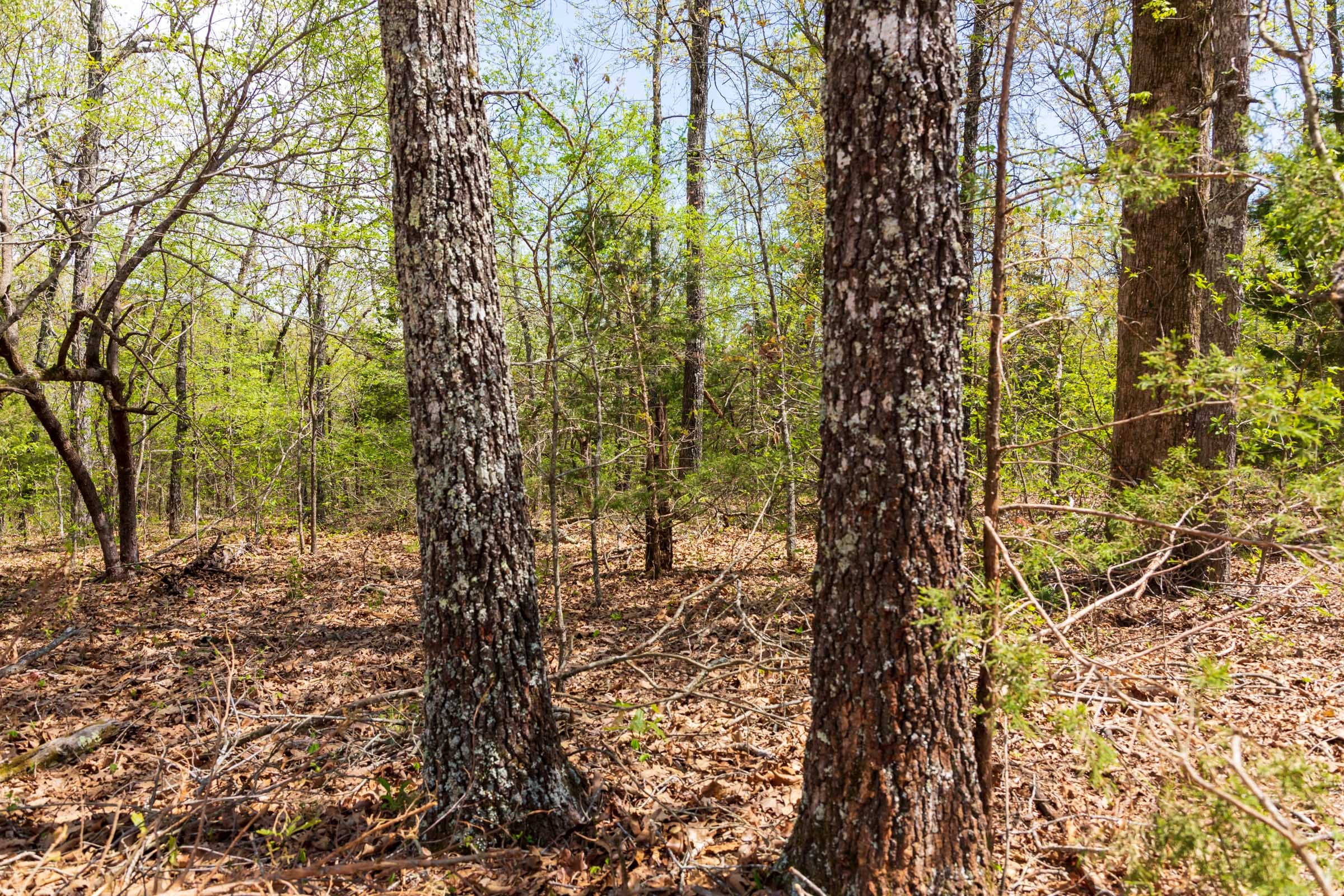Autumnwood Tract 14 photo 16