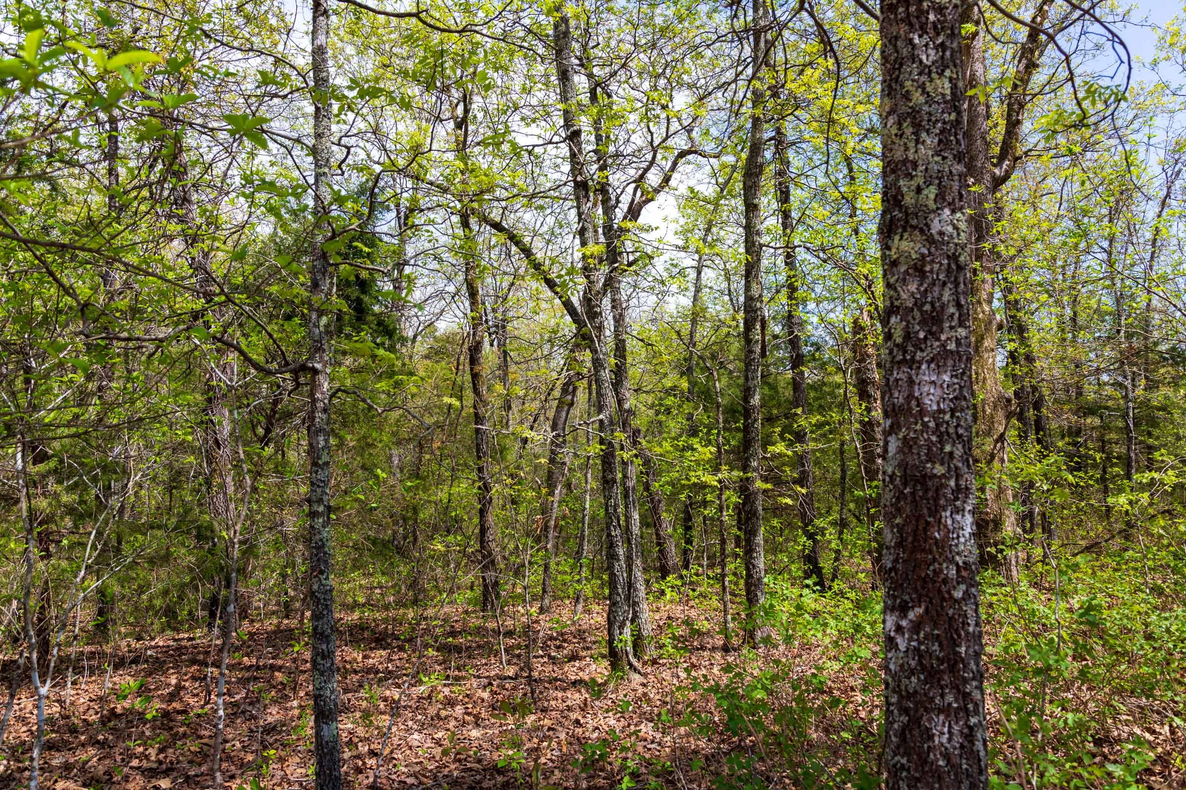 Autumnwood Tract 14 photo 20