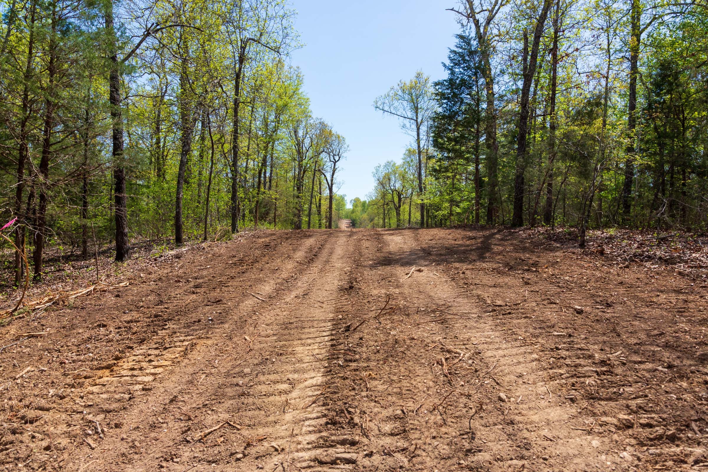 Autumnwood Tract 14 photo 8