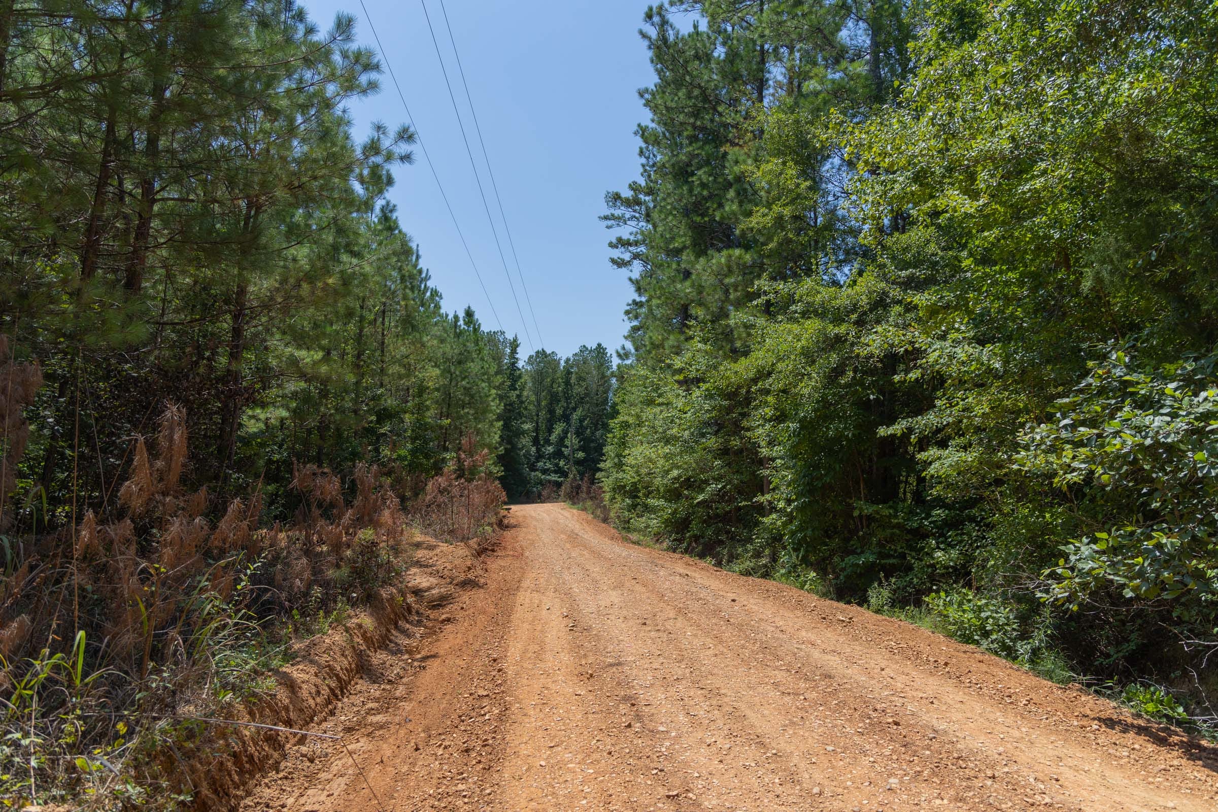 Olive Hill Tract 4 photo 10
