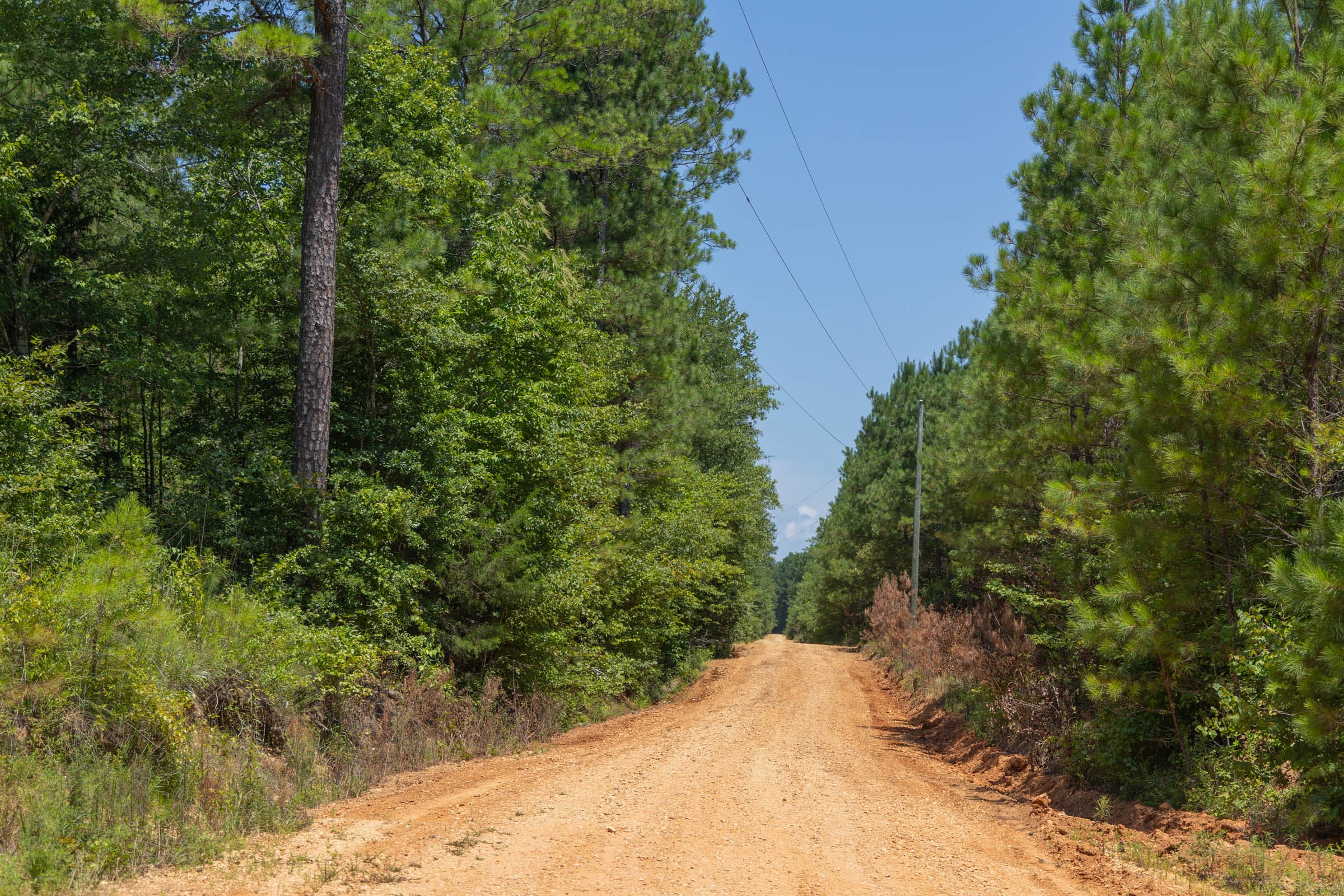 Olive Hill Tract 4 photo 7