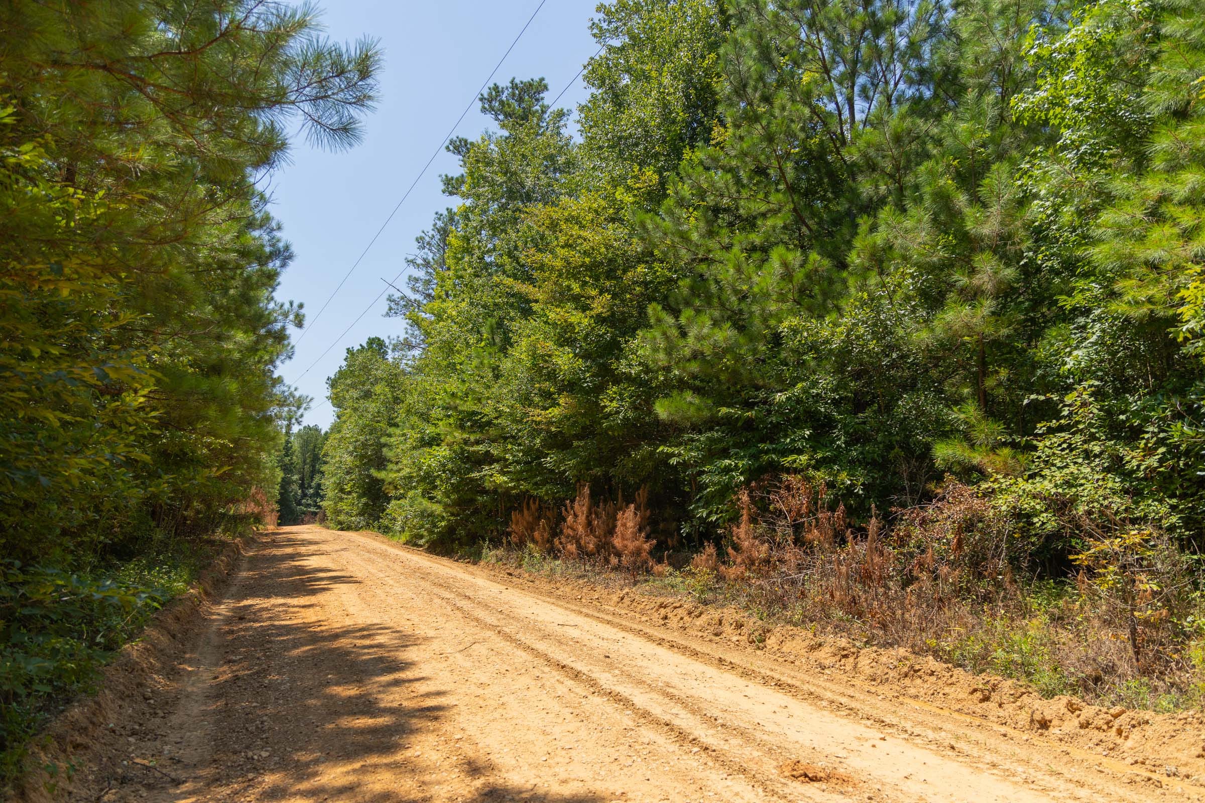Olive Hill Tract 4 photo 3