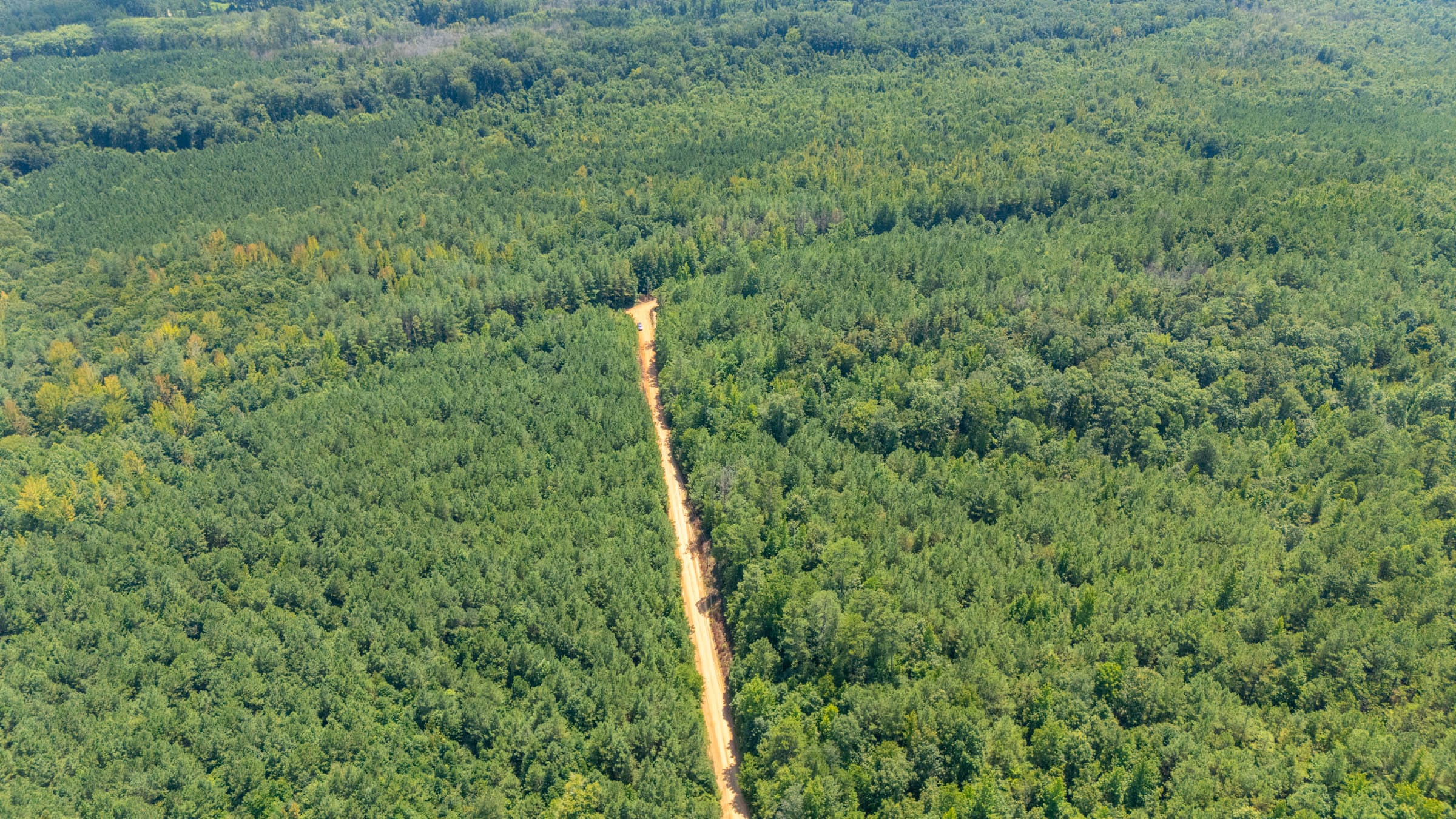 Olive Hill Tract 4 photo 2