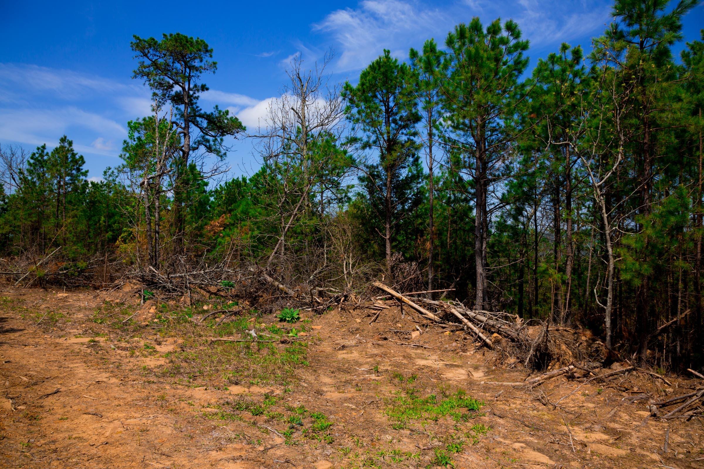 Stone Creek Phase II Tract 243 photo 3