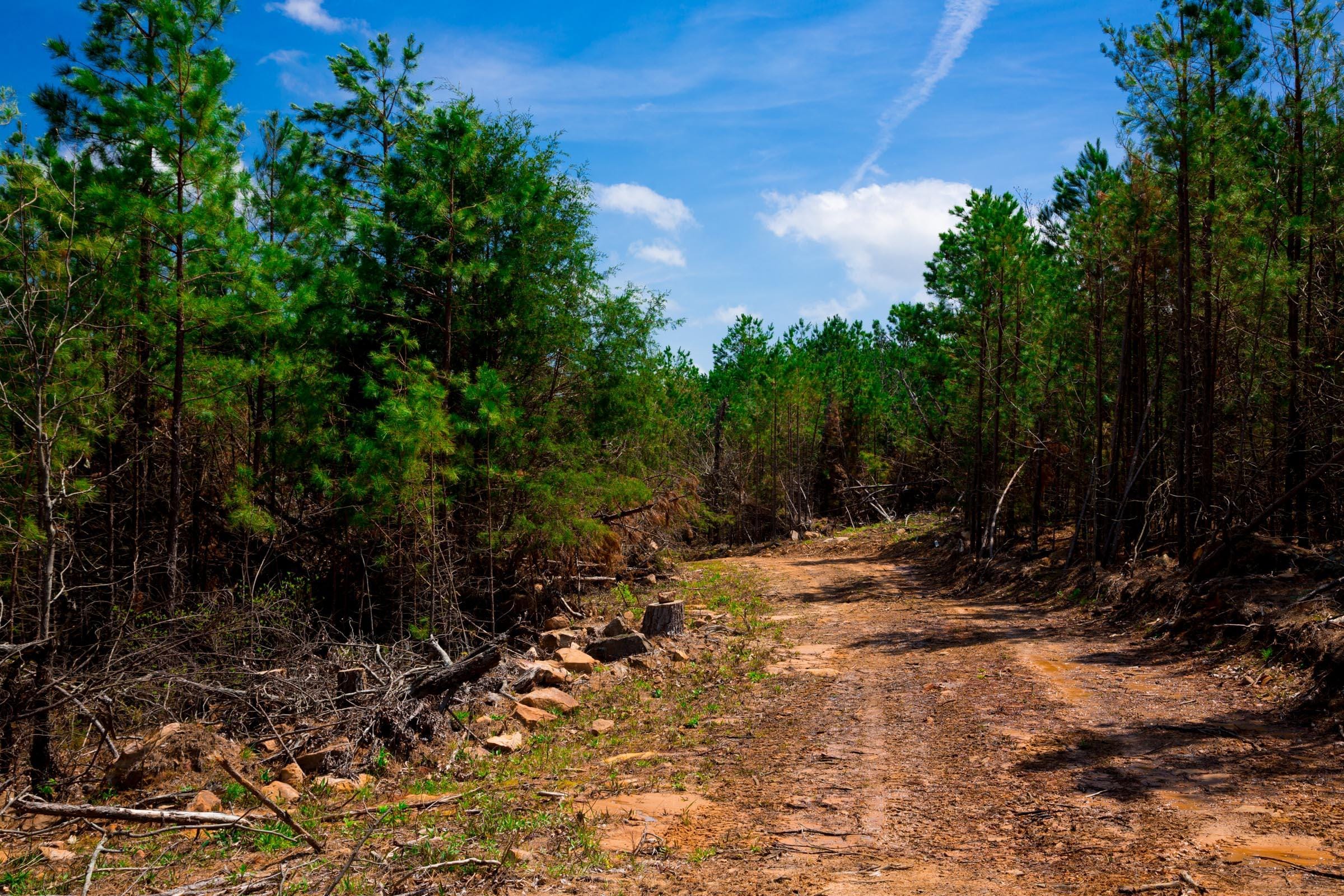 Stone Creek Phase II Tract 243 photo 2