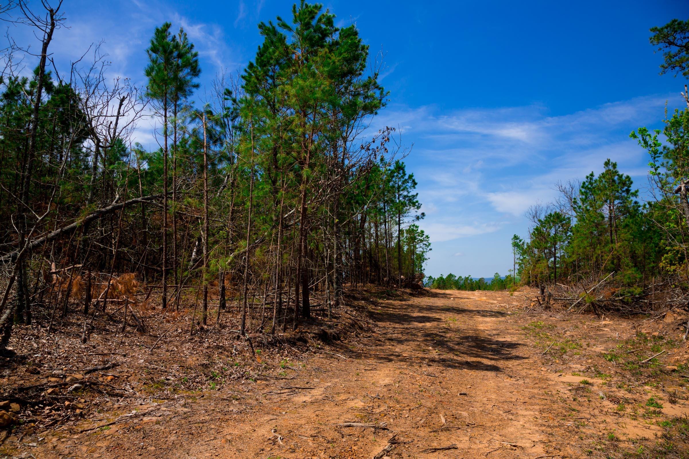 Stone Creek Phase II Tract 243 photo 6
