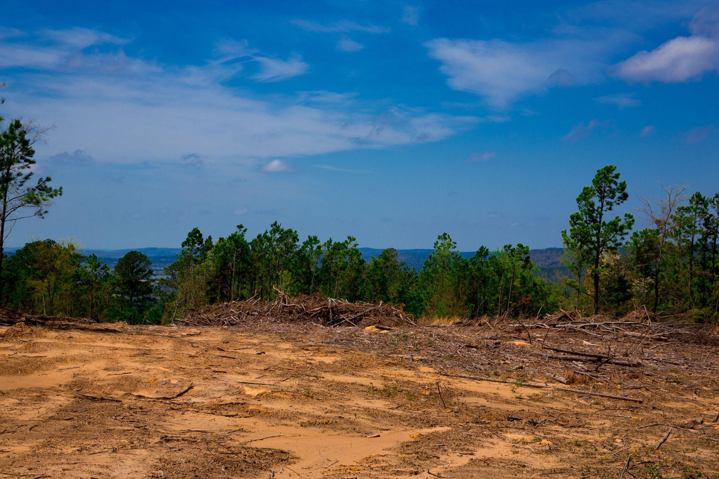 Stone Creek Phase II Tract 243 photo 7
