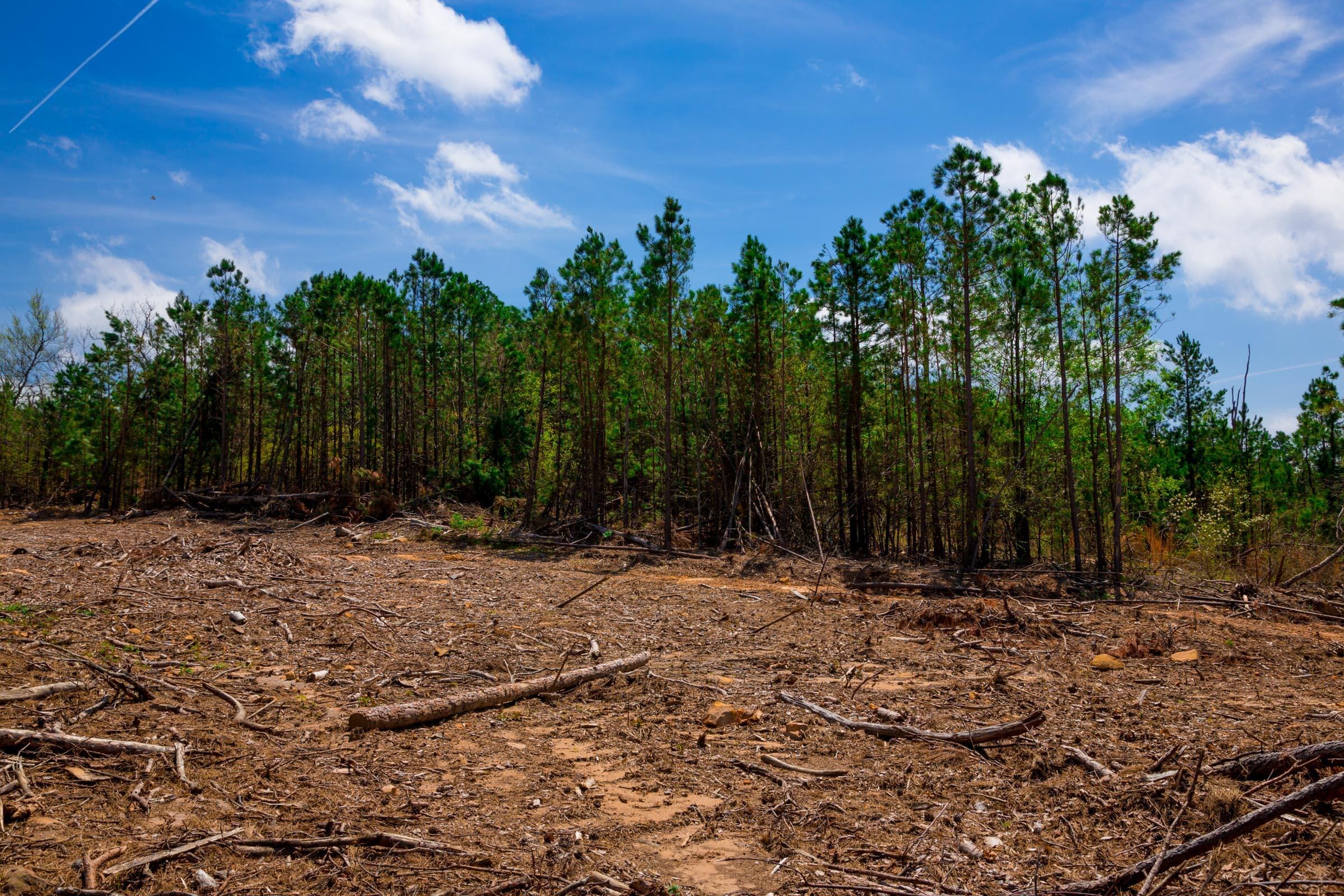 Stone Creek Phase II Tract 243 photo 10