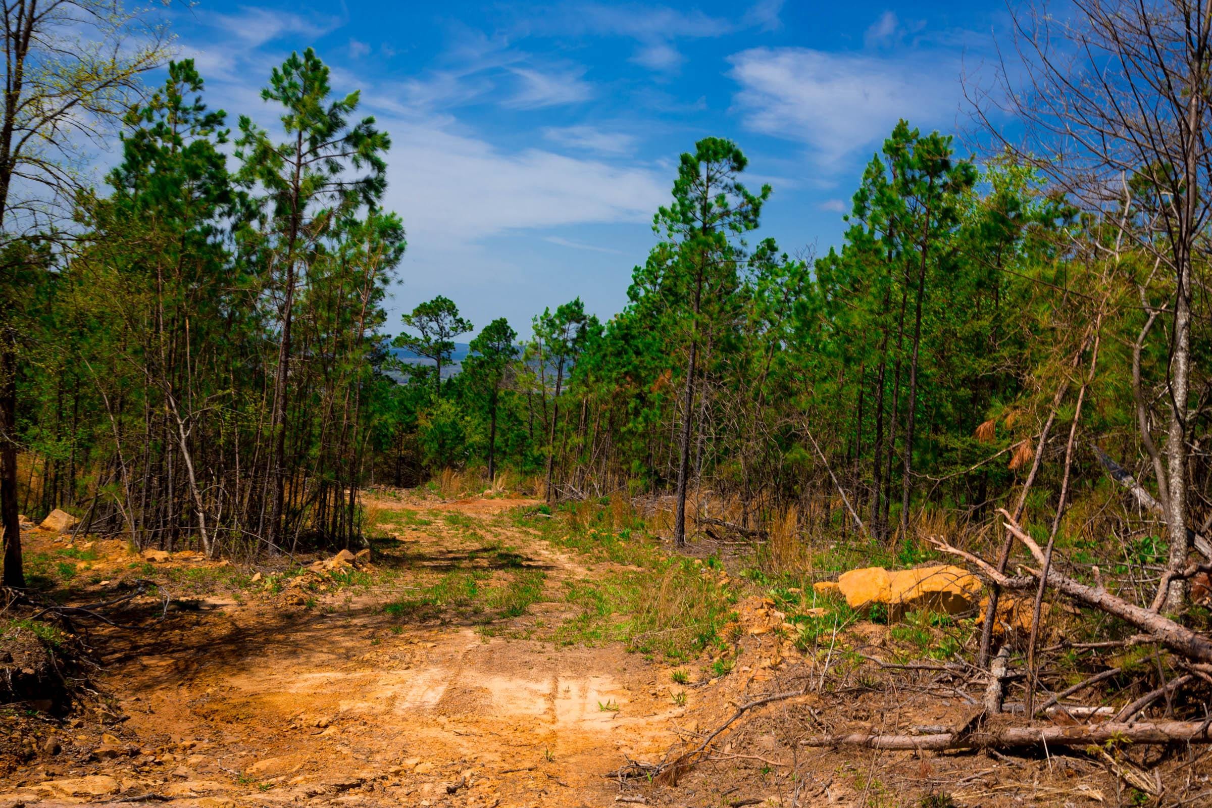 Stone Creek Phase II Tract 243 photo 11