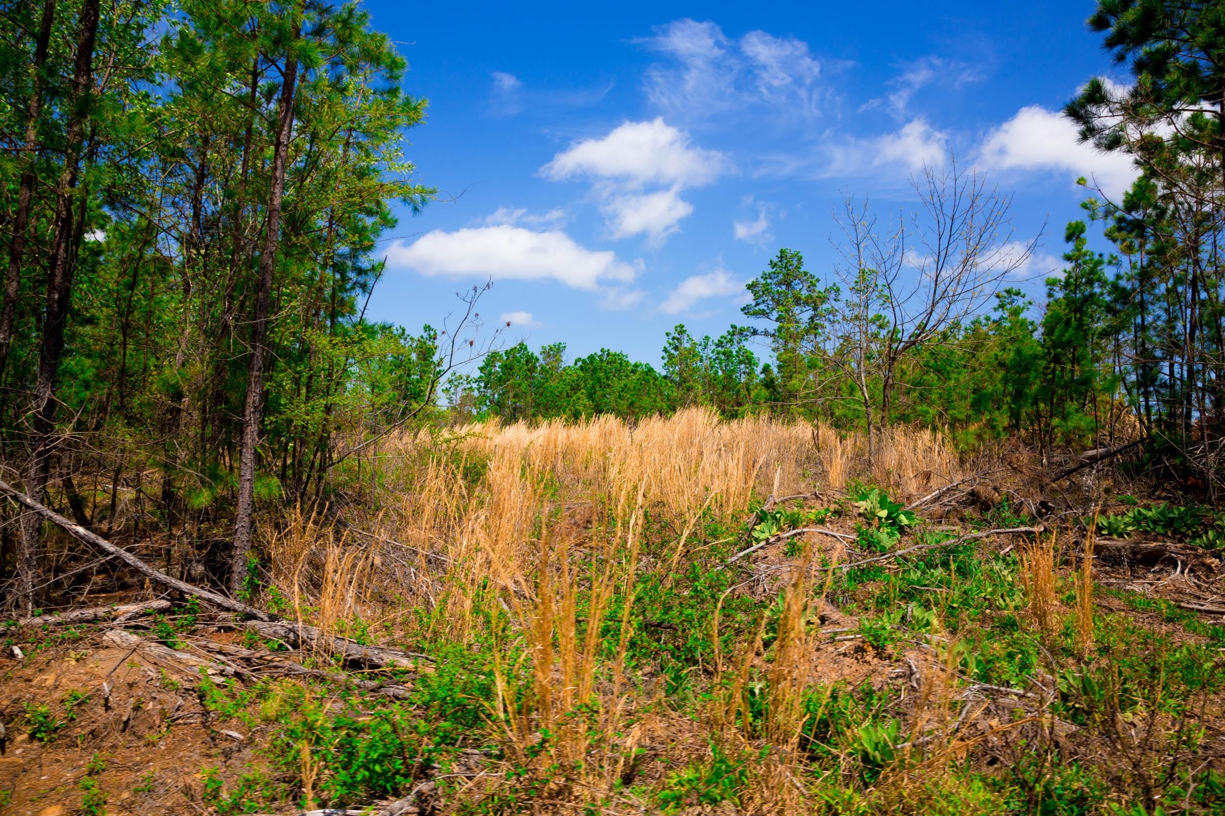 Stone Creek Phase II Tract 243 photo 12