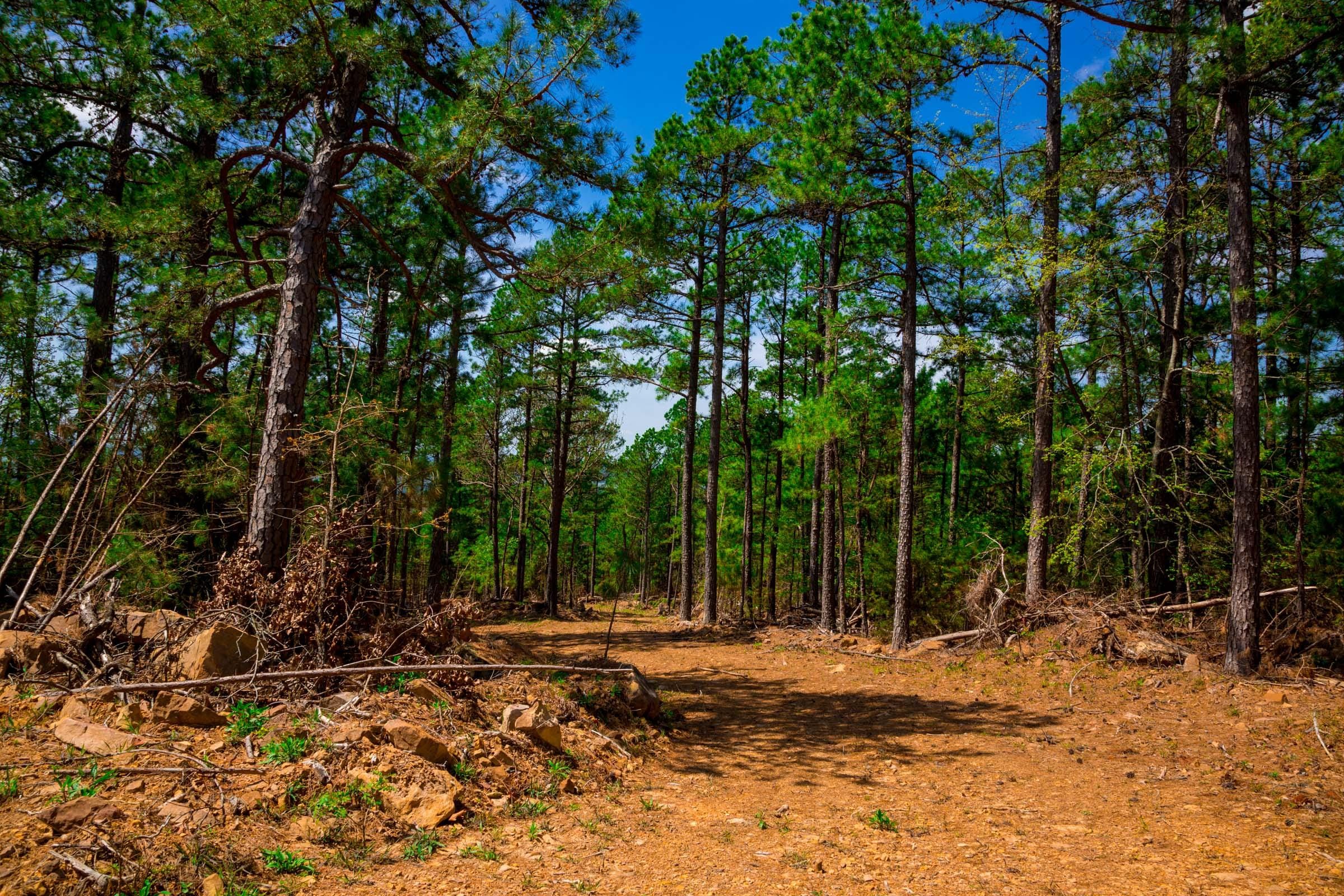 Stone Creek Phase II Tract 243 photo 13