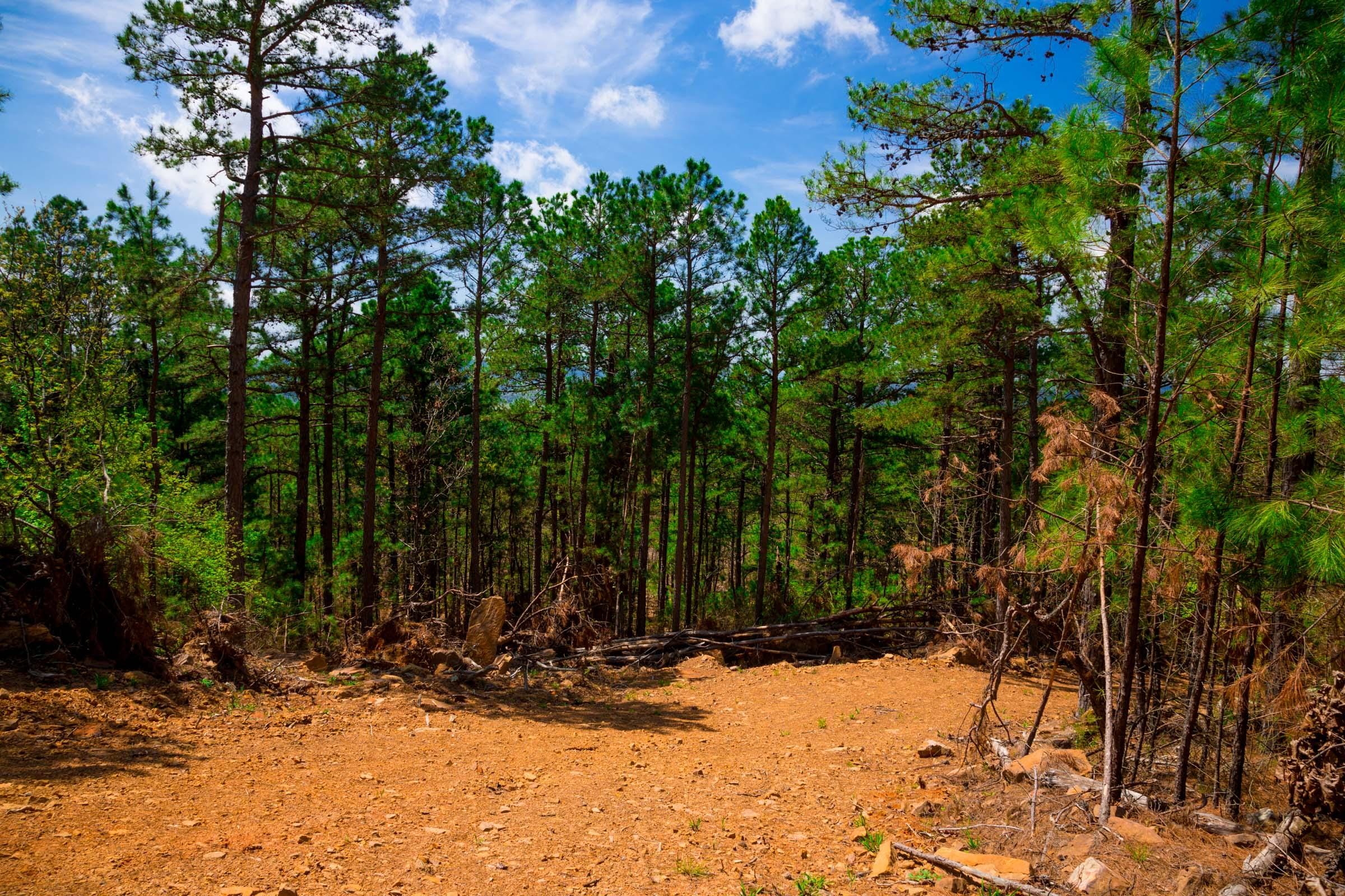 Stone Creek Phase II Tract 243 photo 14