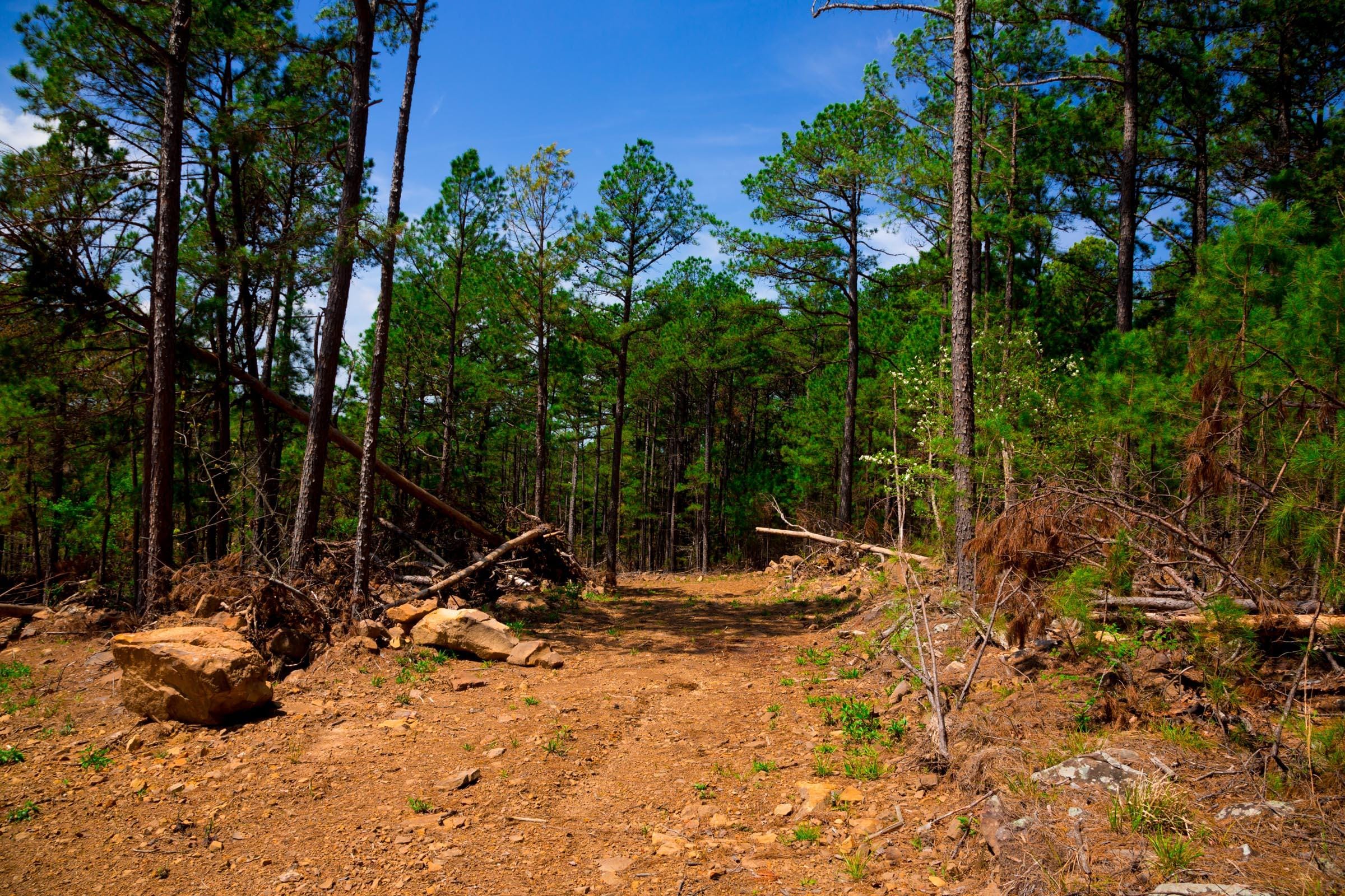 Stone Creek Phase II Tract 243 photo 15