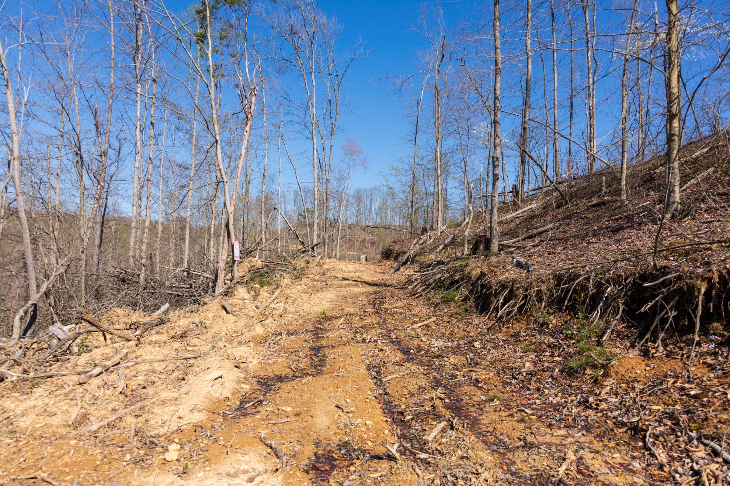 Creek Hollow Phase I Tract 34 photo 1