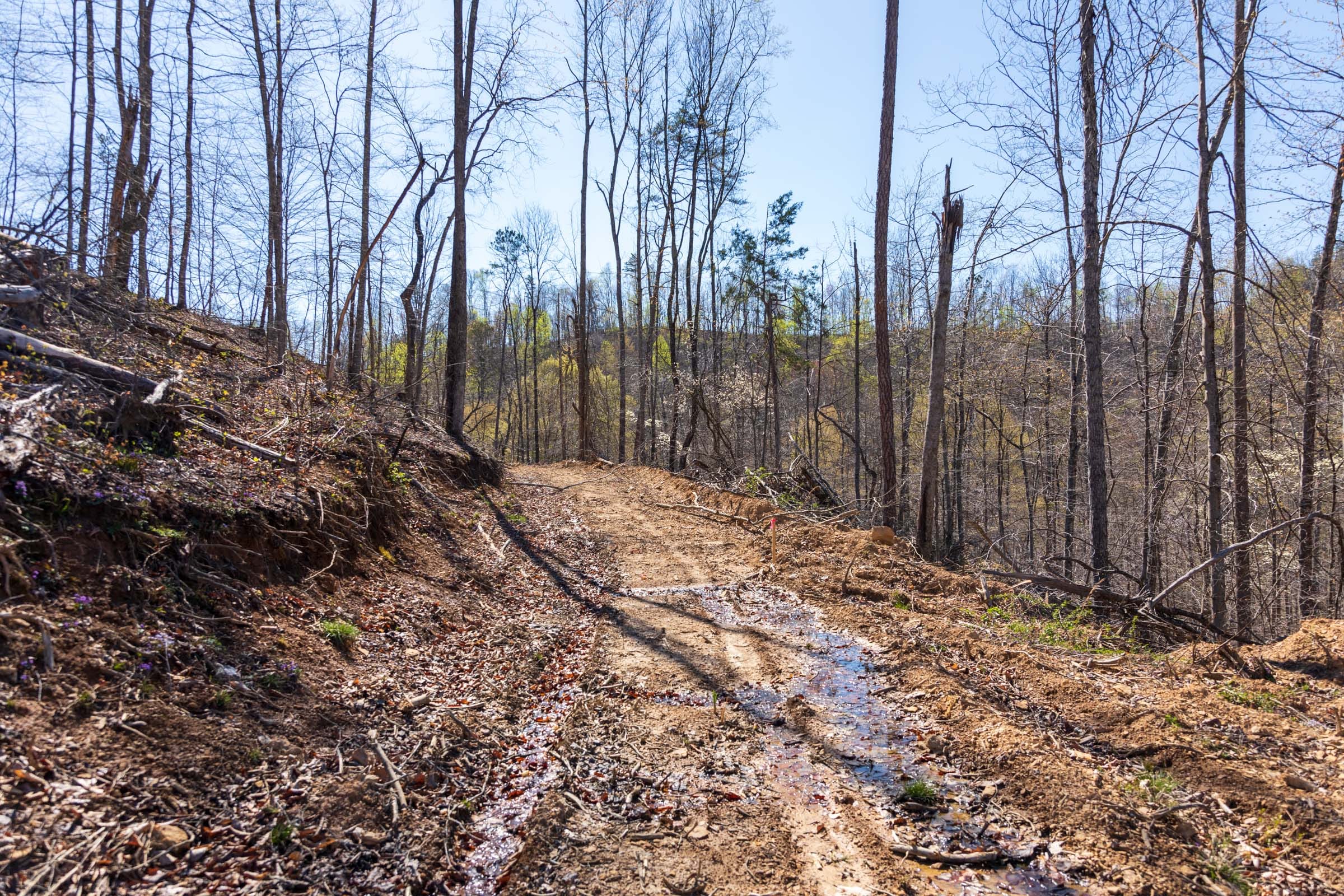Creek Hollow Phase I Tract 34 photo 2