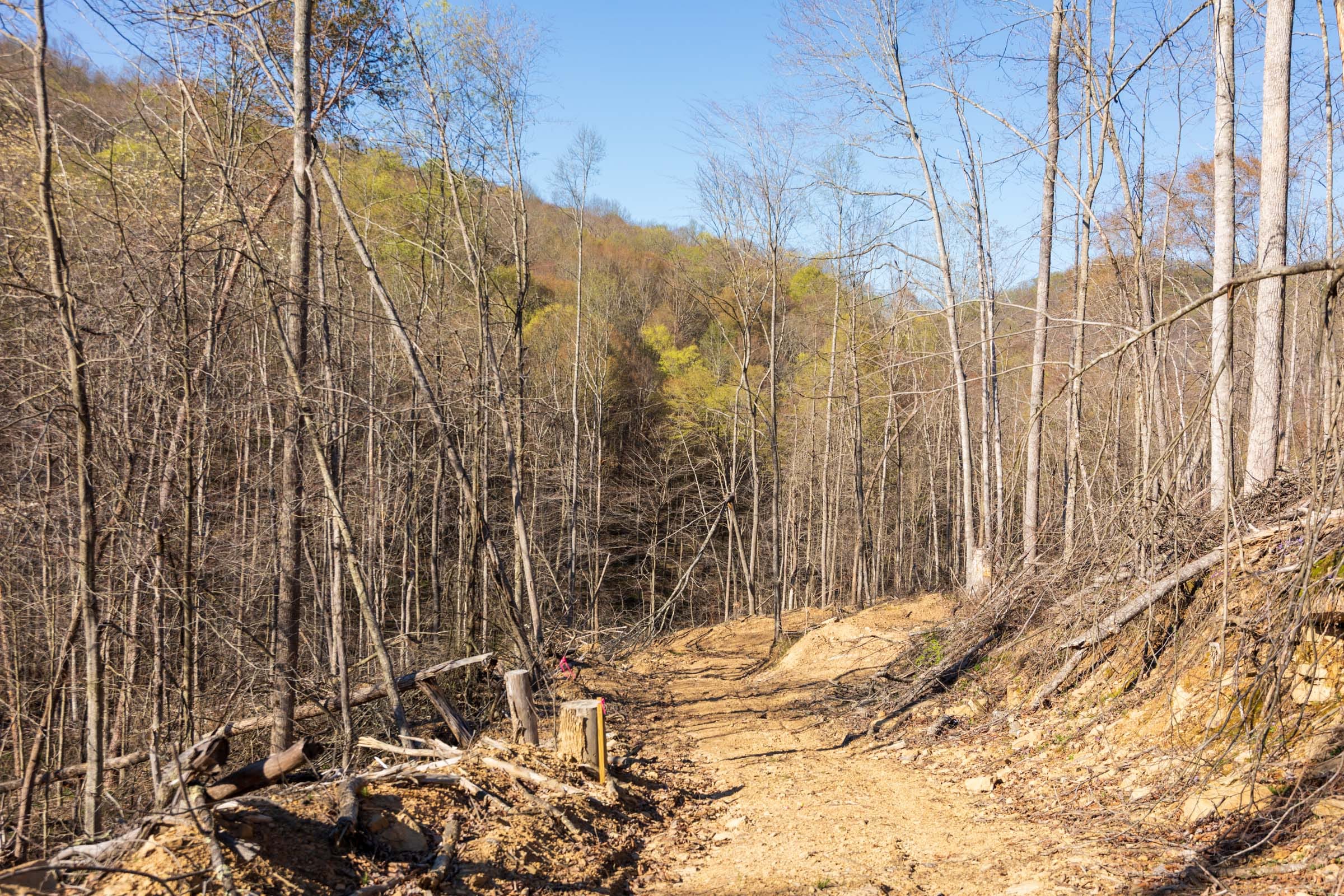 Creek Hollow Phase I Tract 34 photo 4