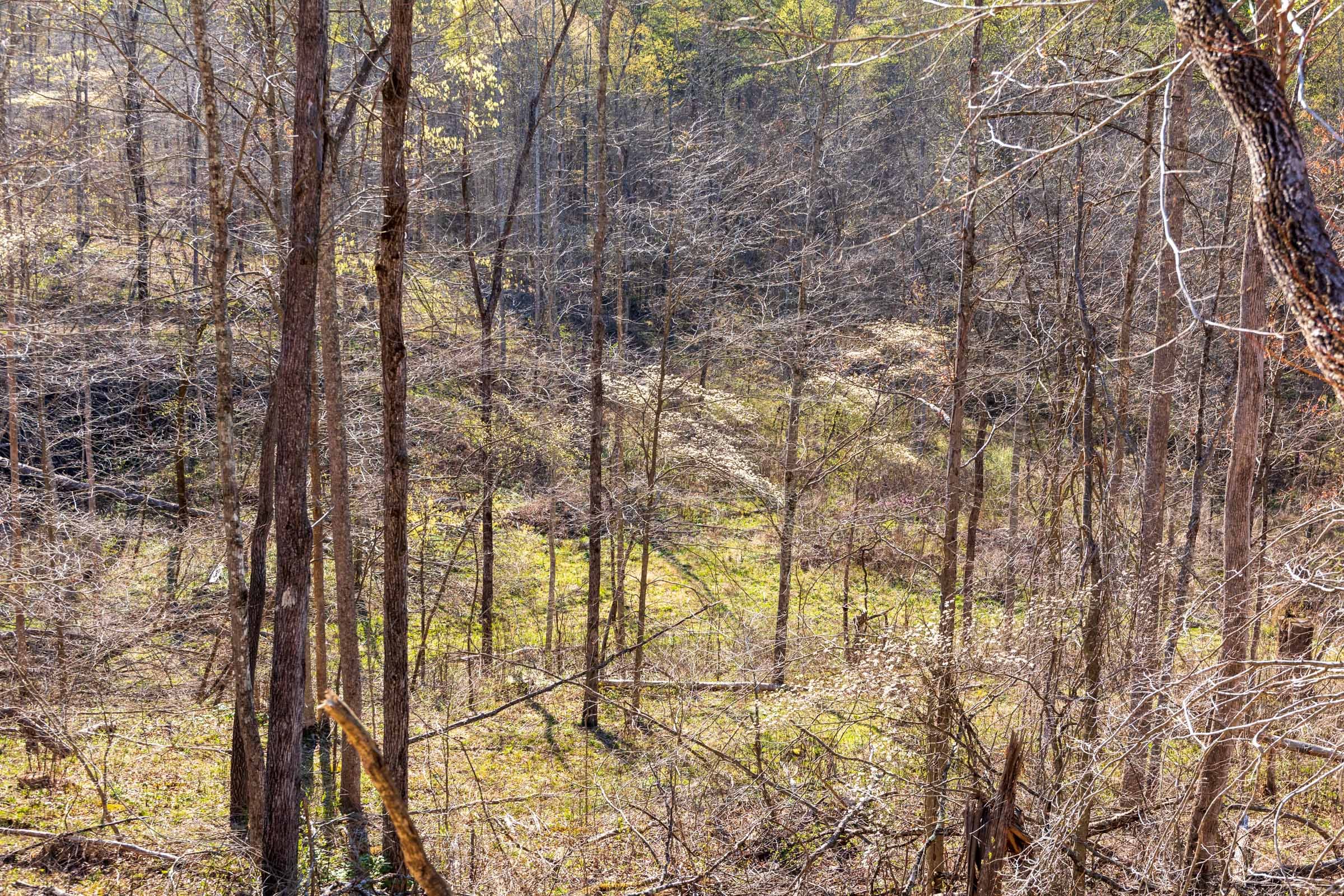 Creek Hollow Phase I Tract 34 photo 6