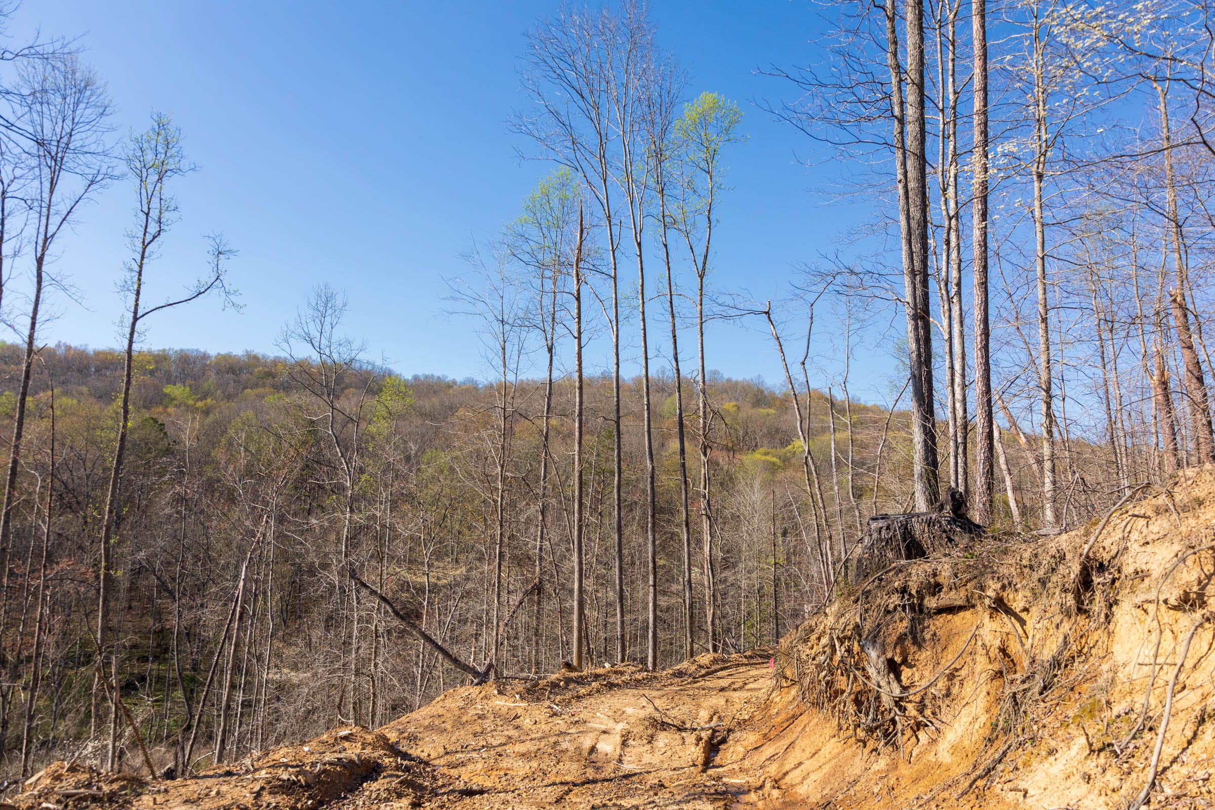 Creek Hollow Phase I Tract 34 photo 7