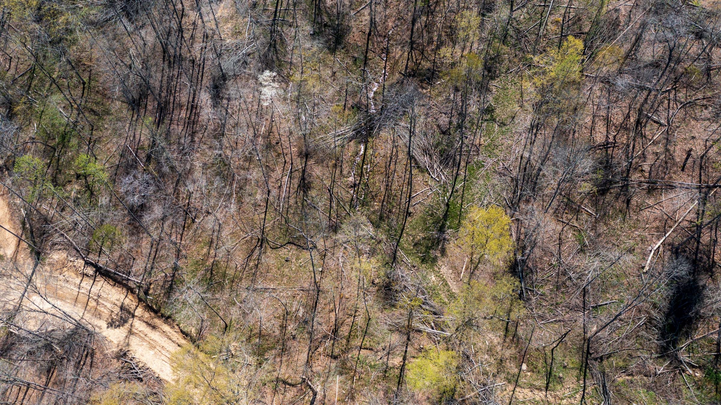 Creek Hollow Phase I Tract 34 photo 8