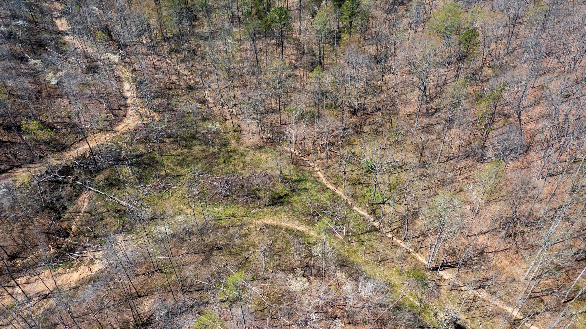 Creek Hollow Phase I Tract 34 photo 10