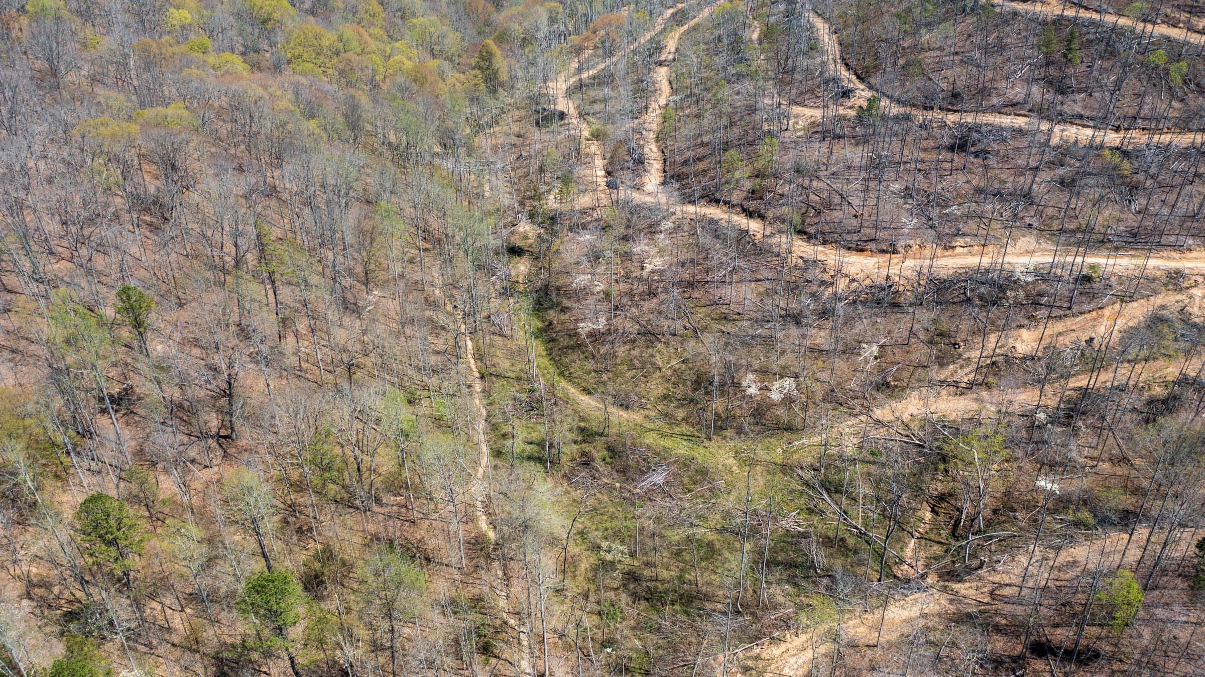Creek Hollow Phase I Tract 34 photo 11